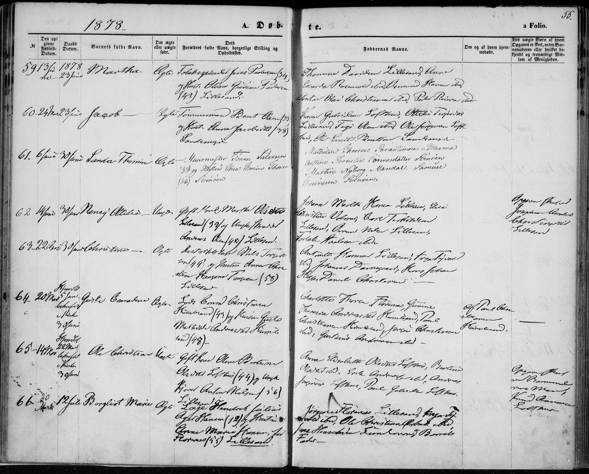 Vestre Moland sokneprestkontor, SAK/1111-0046/F/Fa/Fab/L0008: Parish register (official) no. A 8, 1873-1883, p. 55