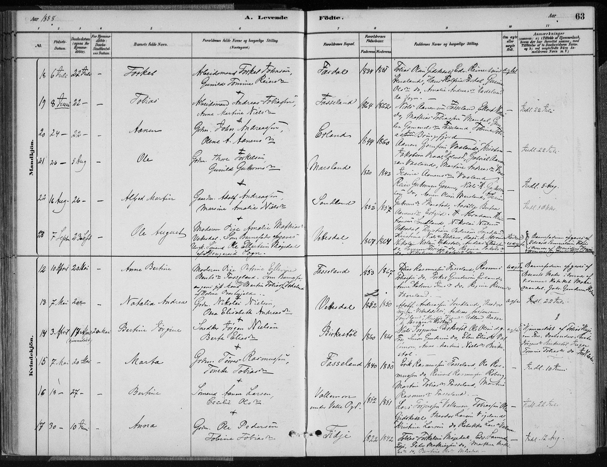 Sør-Audnedal sokneprestkontor, AV/SAK-1111-0039/F/Fa/Fab/L0009: Parish register (official) no. A 9, 1880-1895, p. 63