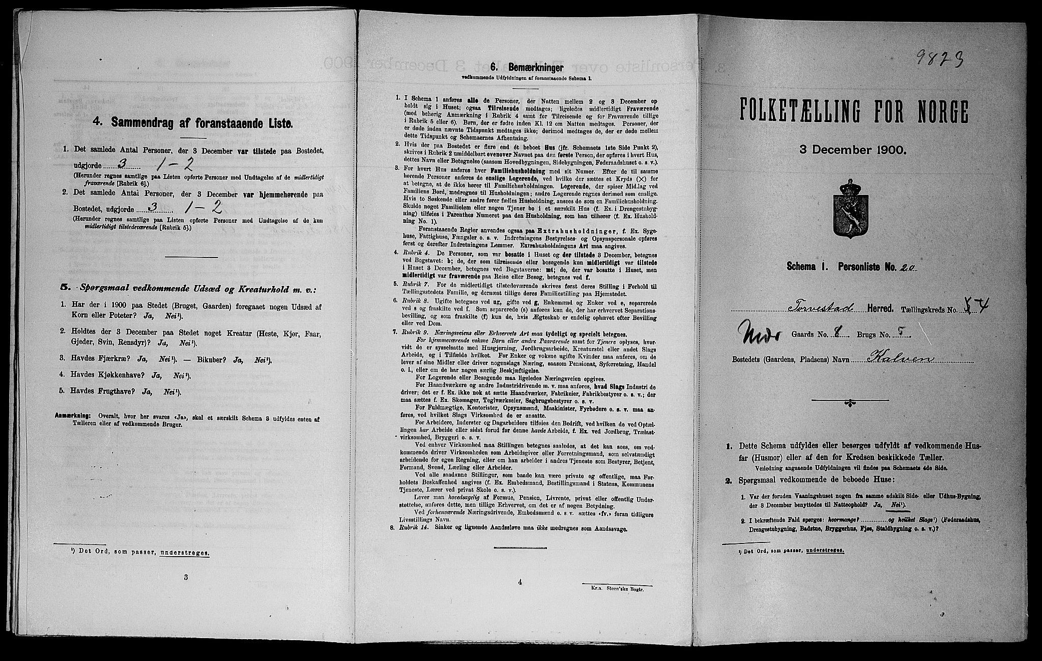 SAST, 1900 census for Torvastad, 1900, p. 576