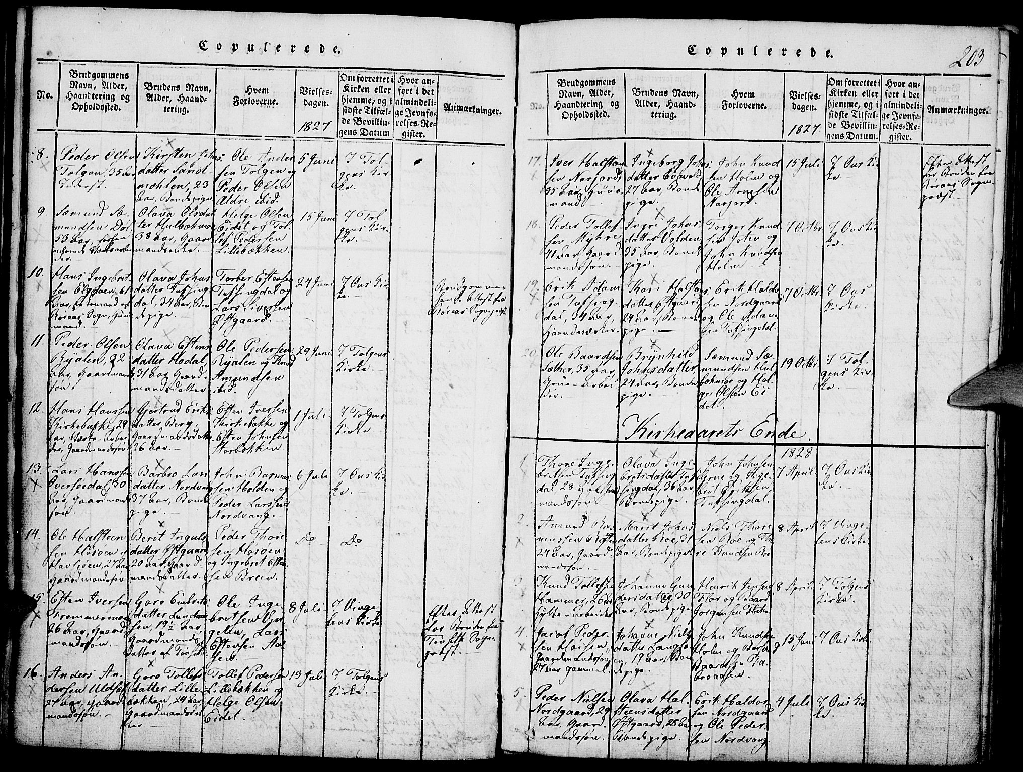 Tolga prestekontor, SAH/PREST-062/K/L0004: Parish register (official) no. 4, 1815-1836, p. 203