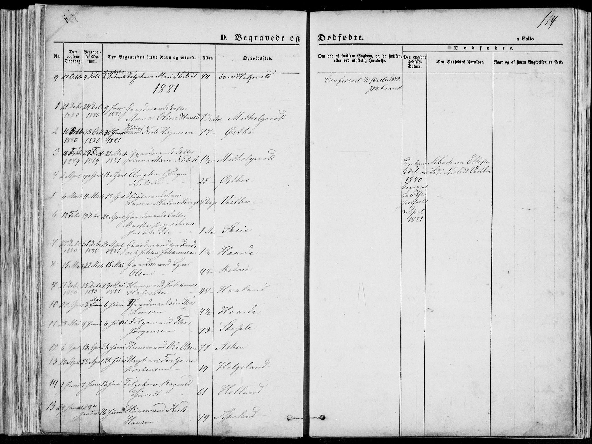 Vikedal sokneprestkontor, AV/SAST-A-101840/01/V: Parish register (copy) no. B 10, 1864-1926, p. 114