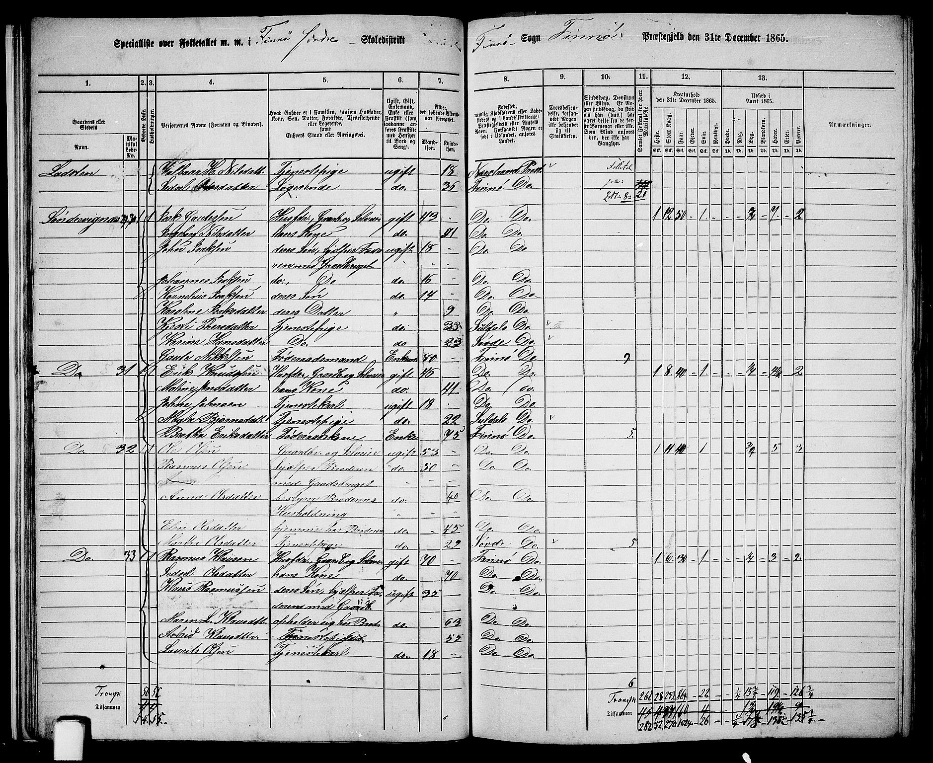 RA, 1865 census for Finnøy, 1865, p. 21