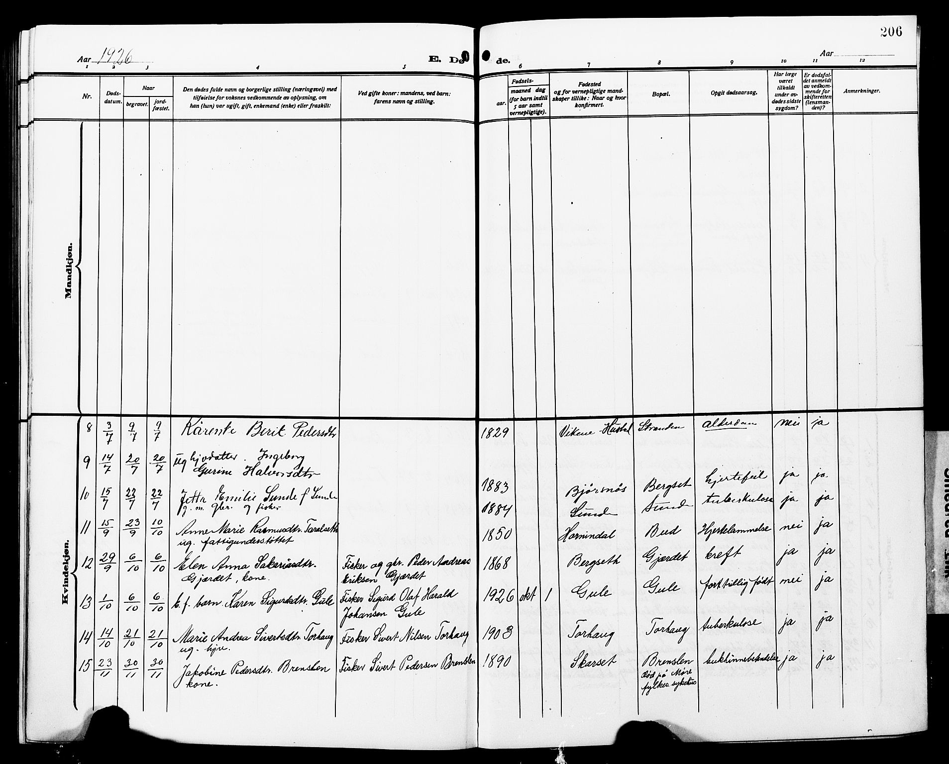 Ministerialprotokoller, klokkerbøker og fødselsregistre - Møre og Romsdal, SAT/A-1454/566/L0774: Parish register (copy) no. 566C03, 1910-1929, p. 206