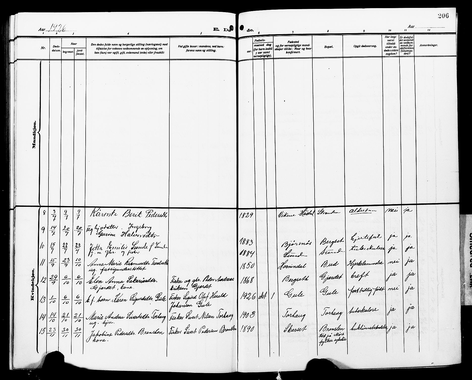 Ministerialprotokoller, klokkerbøker og fødselsregistre - Møre og Romsdal, AV/SAT-A-1454/566/L0774: Parish register (copy) no. 566C03, 1910-1929, p. 206