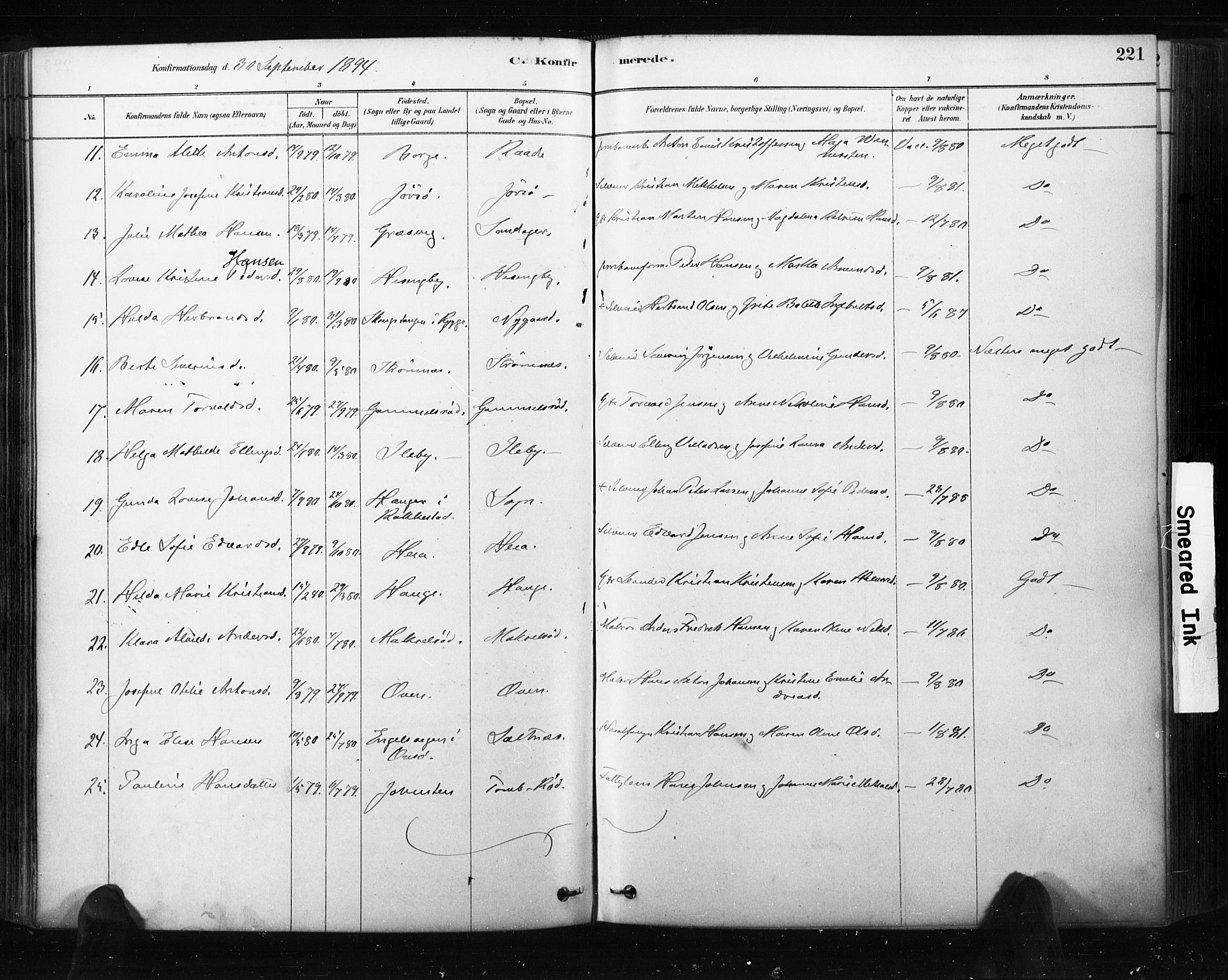 Råde prestekontor kirkebøker, AV/SAO-A-2009/F/Fa/L0007: Parish register (official) no. 7, 1878-1902, p. 221