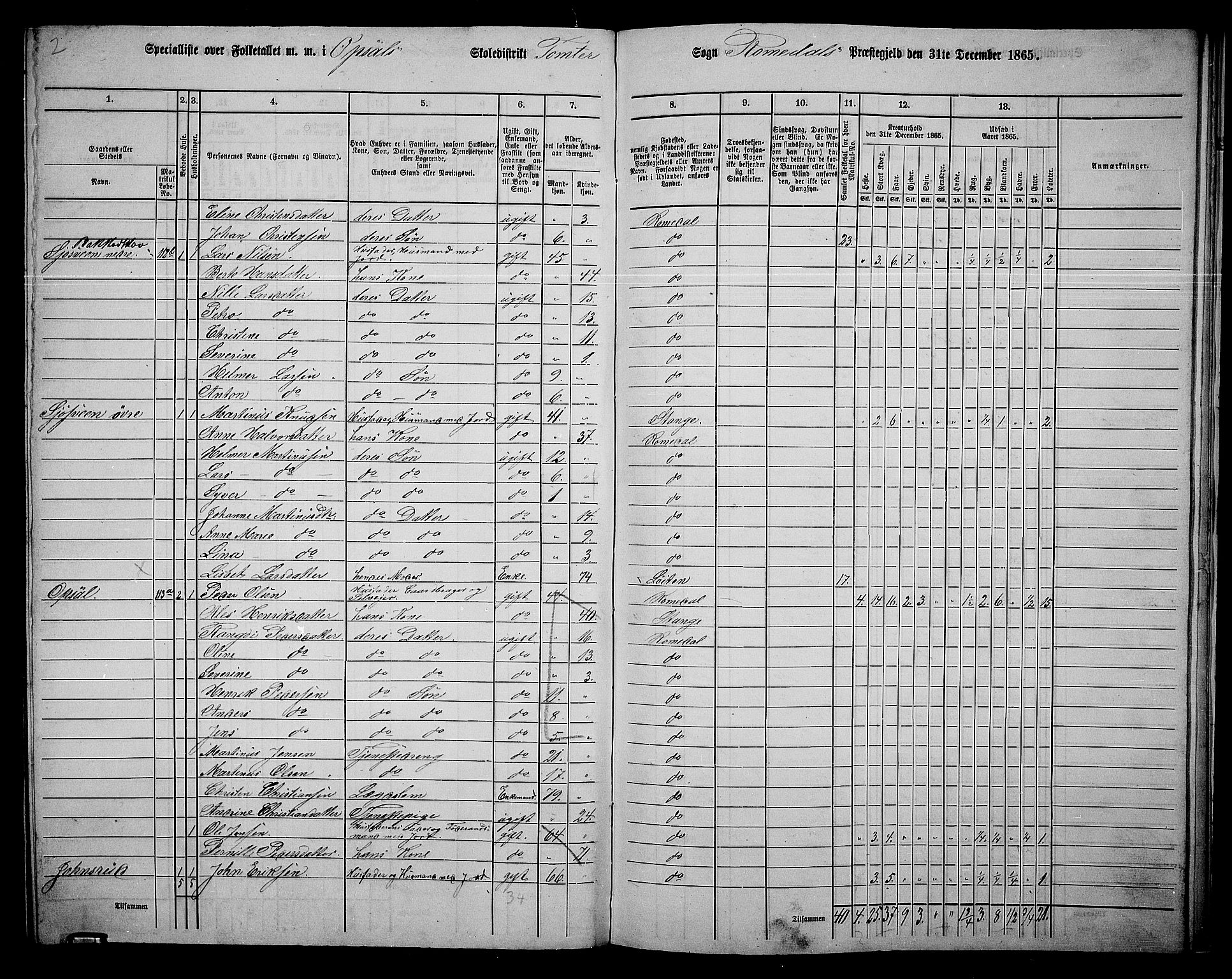 RA, 1865 census for Romedal, 1865, p. 189