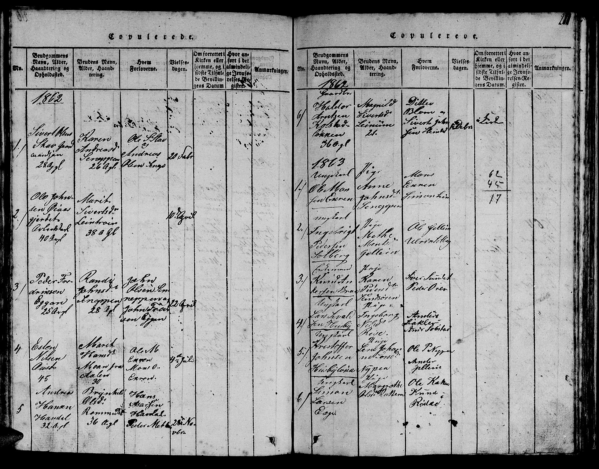 Ministerialprotokoller, klokkerbøker og fødselsregistre - Sør-Trøndelag, AV/SAT-A-1456/613/L0393: Parish register (copy) no. 613C01, 1816-1886, p. 211