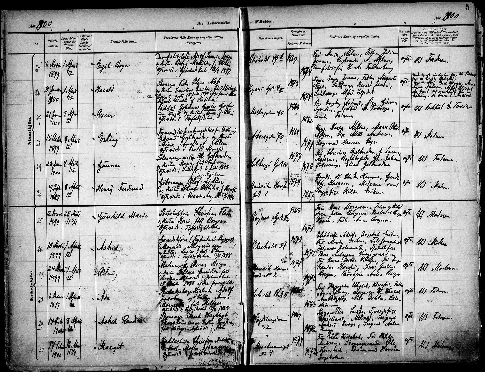 Trefoldighet prestekontor Kirkebøker, AV/SAO-A-10882/F/Fa/L0007: Parish register (official) no. I 7, 1900-1914, p. 5