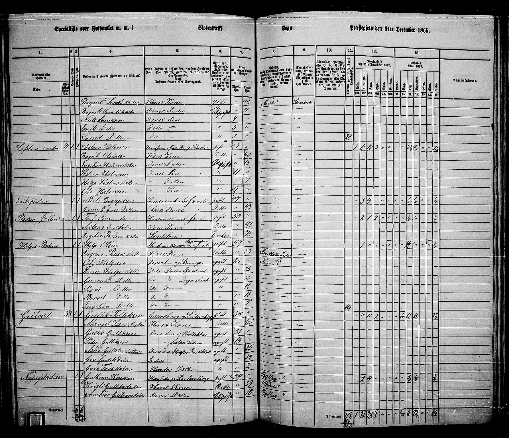 RA, 1865 census for Nore, 1865, p. 110