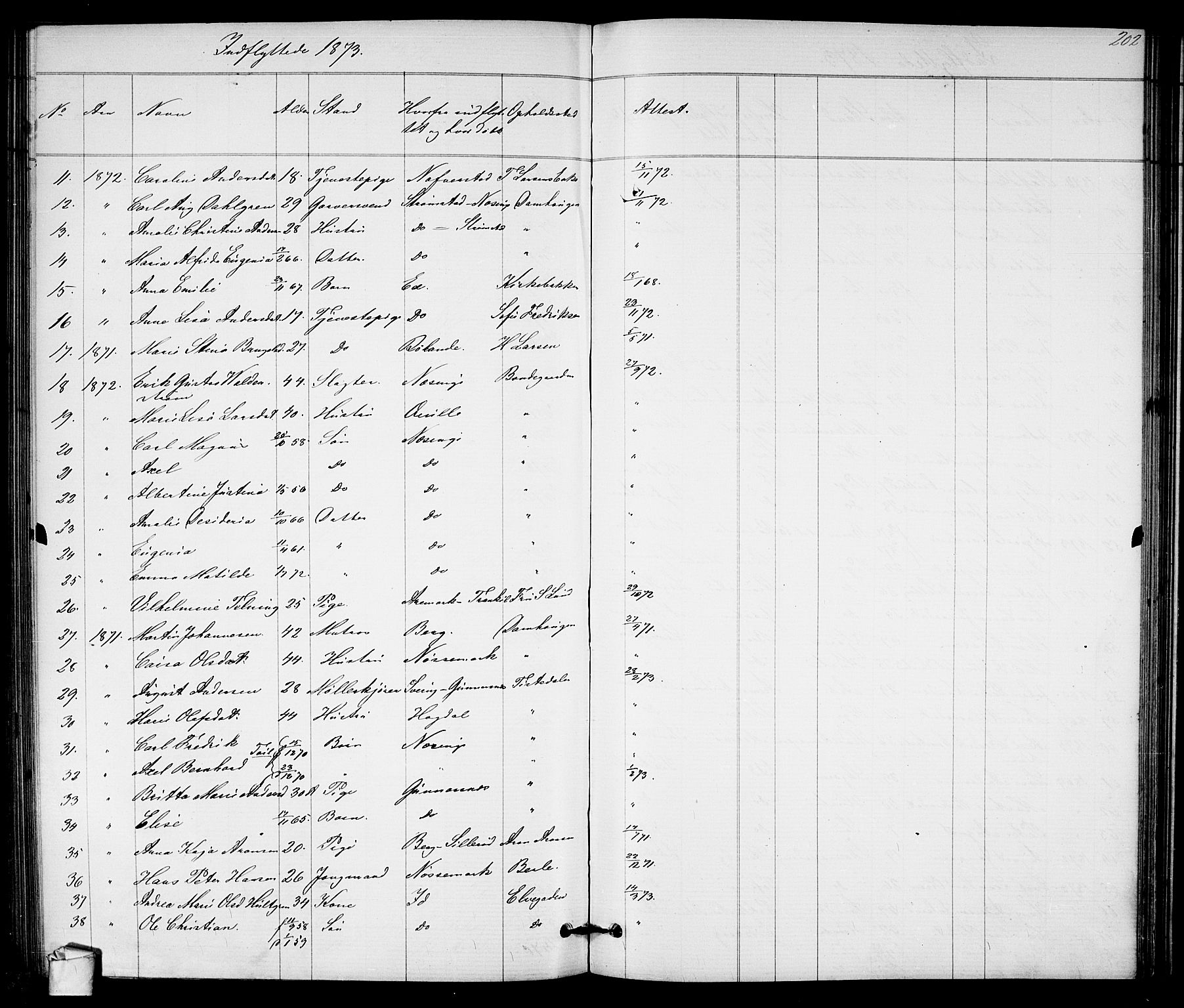 Halden prestekontor Kirkebøker, SAO/A-10909/G/Ga/L0007: Parish register (copy) no. 7, 1869-1884, p. 202
