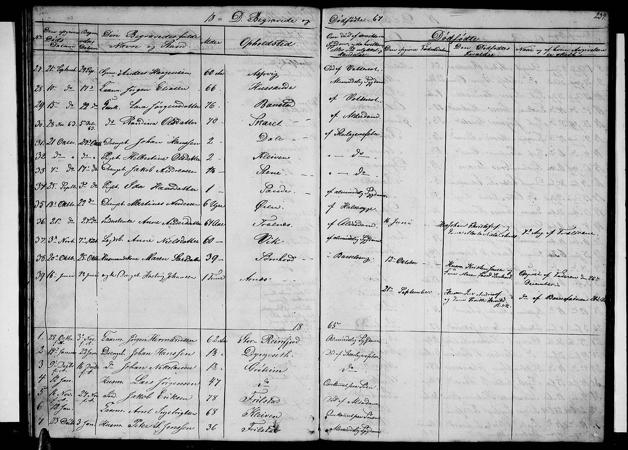 Ministerialprotokoller, klokkerbøker og fødselsregistre - Nordland, AV/SAT-A-1459/812/L0187: Parish register (copy) no. 812C05, 1850-1883, p. 234