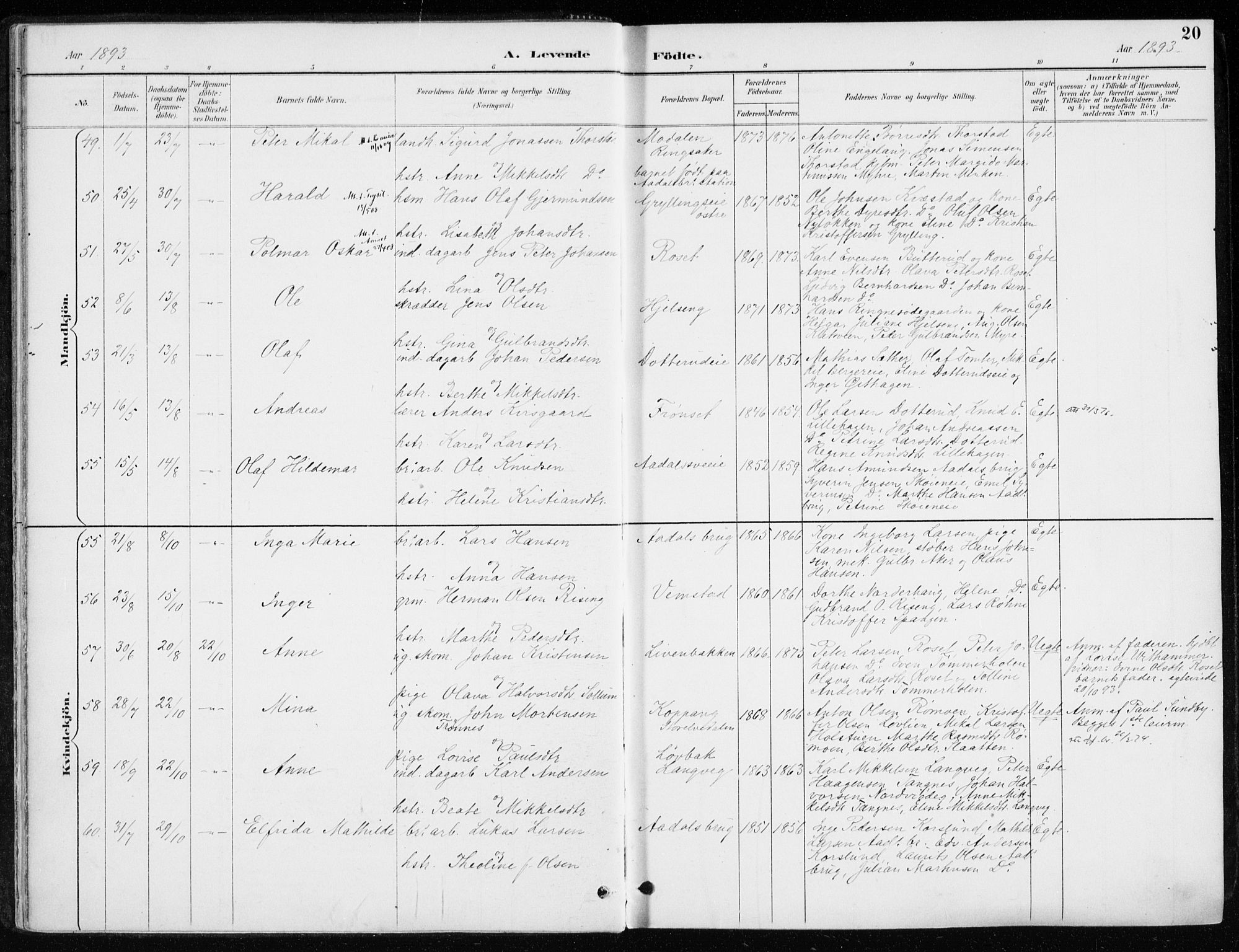 Løten prestekontor, AV/SAH-PREST-022/K/Ka/L0010: Parish register (official) no. 10, 1892-1907, p. 20