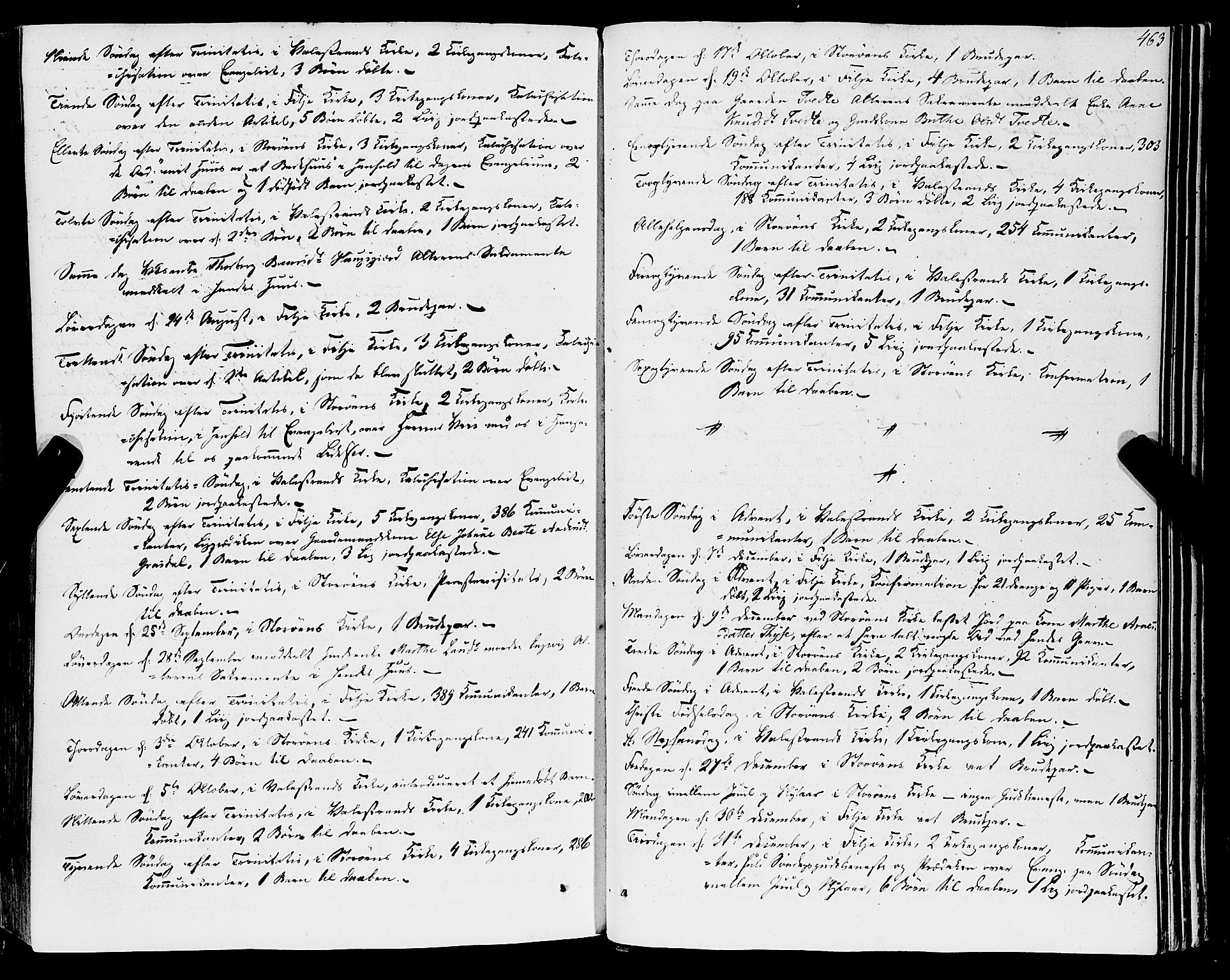 Stord sokneprestembete, SAB/A-78201/H/Haa: Parish register (official) no. A 7, 1841-1861, p. 463