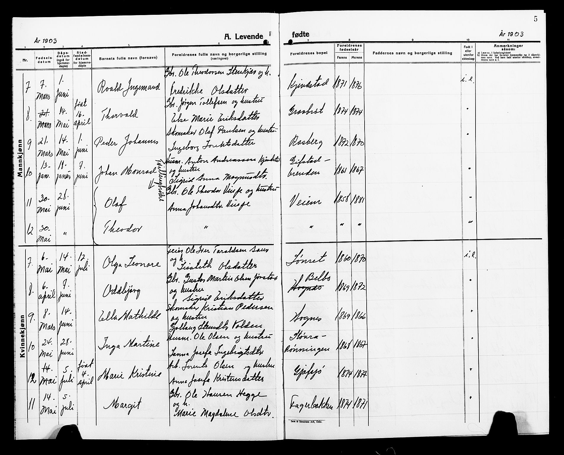 Ministerialprotokoller, klokkerbøker og fødselsregistre - Nord-Trøndelag, SAT/A-1458/749/L0488: Parish register (official) no. 749D04, 1903-1915, p. 5