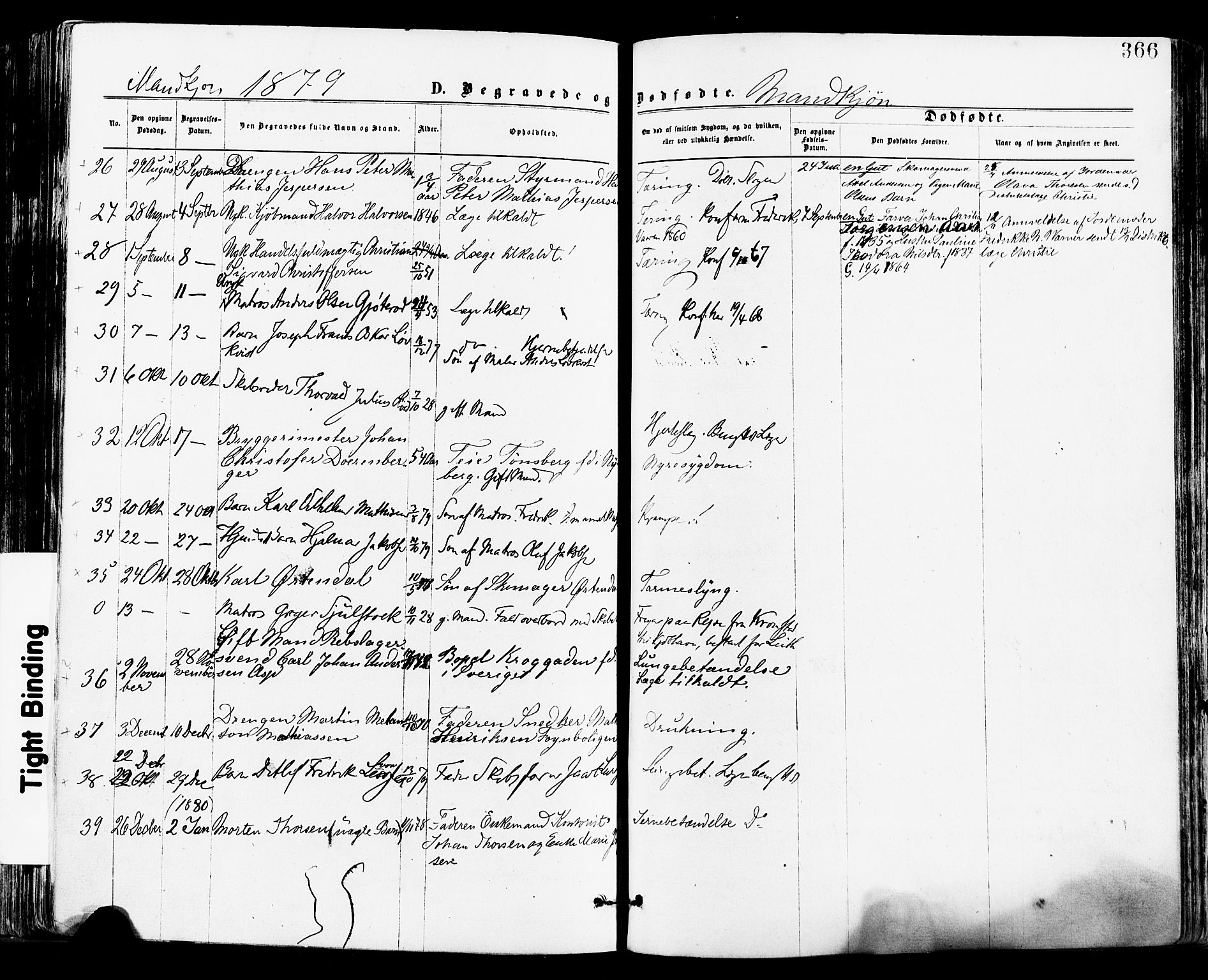 Tønsberg kirkebøker, SAKO/A-330/F/Fa/L0010: Parish register (official) no. I 10, 1874-1880, p. 366