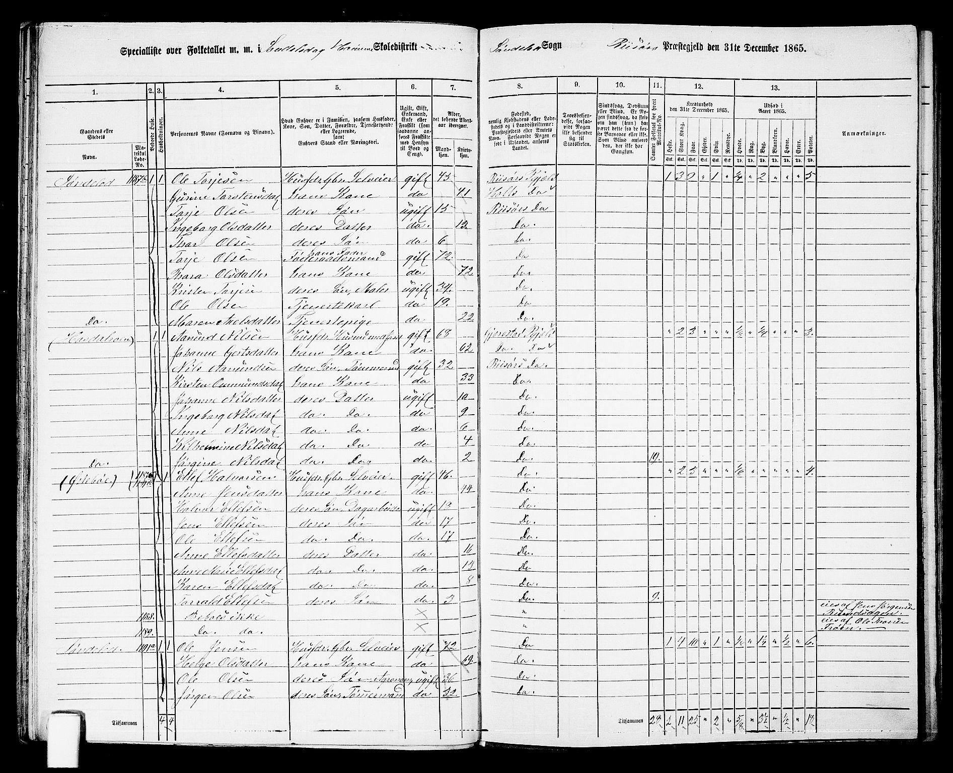 RA, 1865 census for Risør/Søndeled, 1865, p. 51