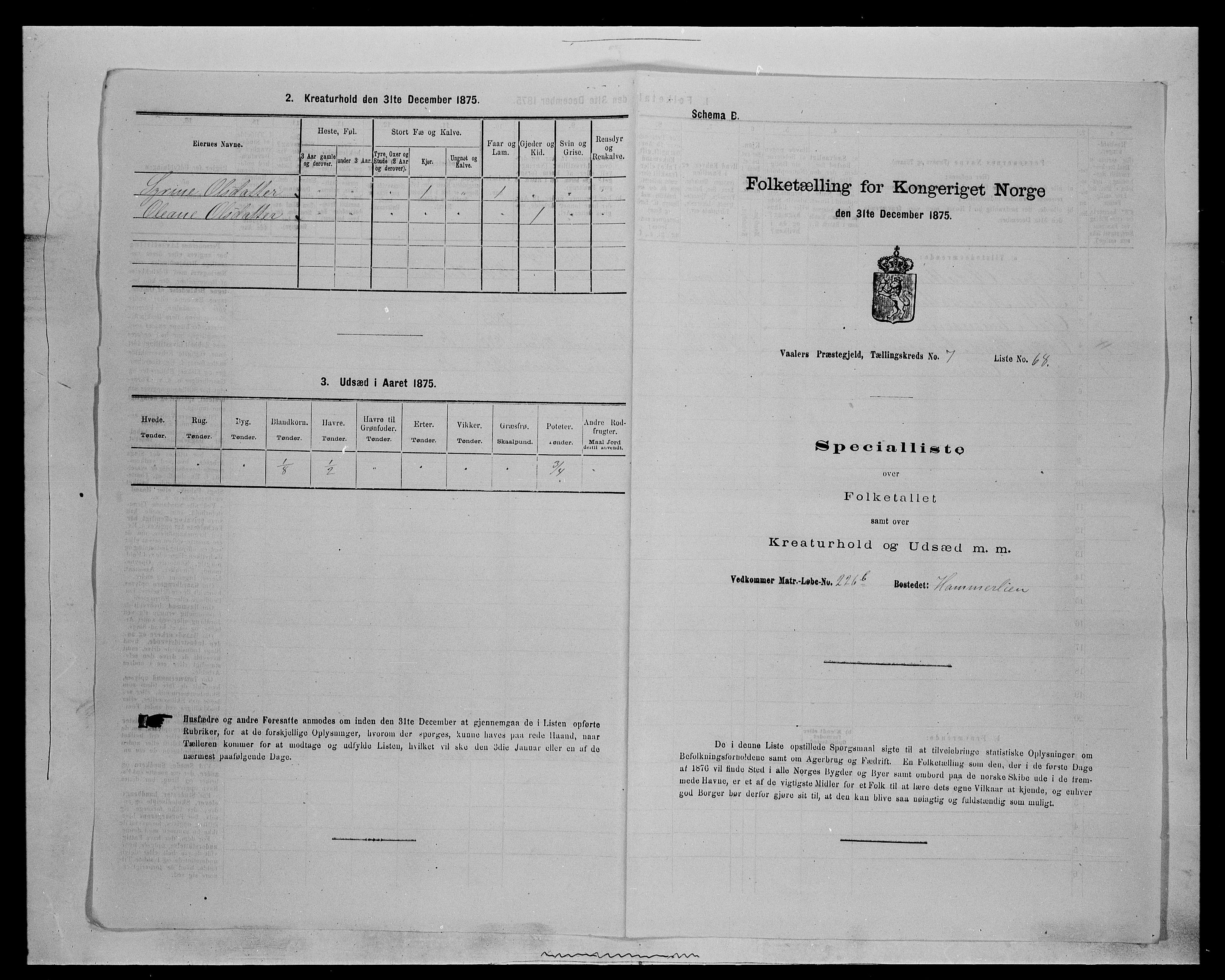 SAH, 1875 census for 0426P Våler parish (Hedmark), 1875, p. 1013