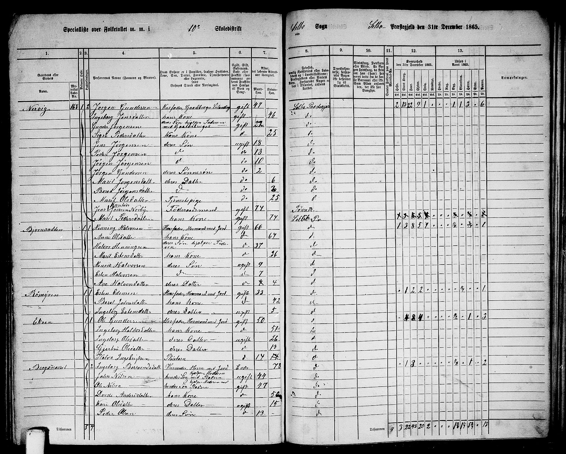 RA, 1865 census for Selbu, 1865, p. 179