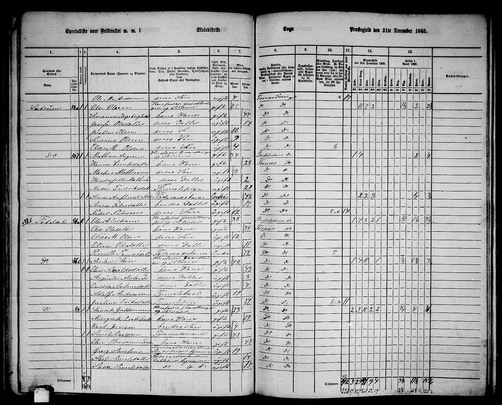 RA, 1865 census for Fosnes, 1865, p. 47