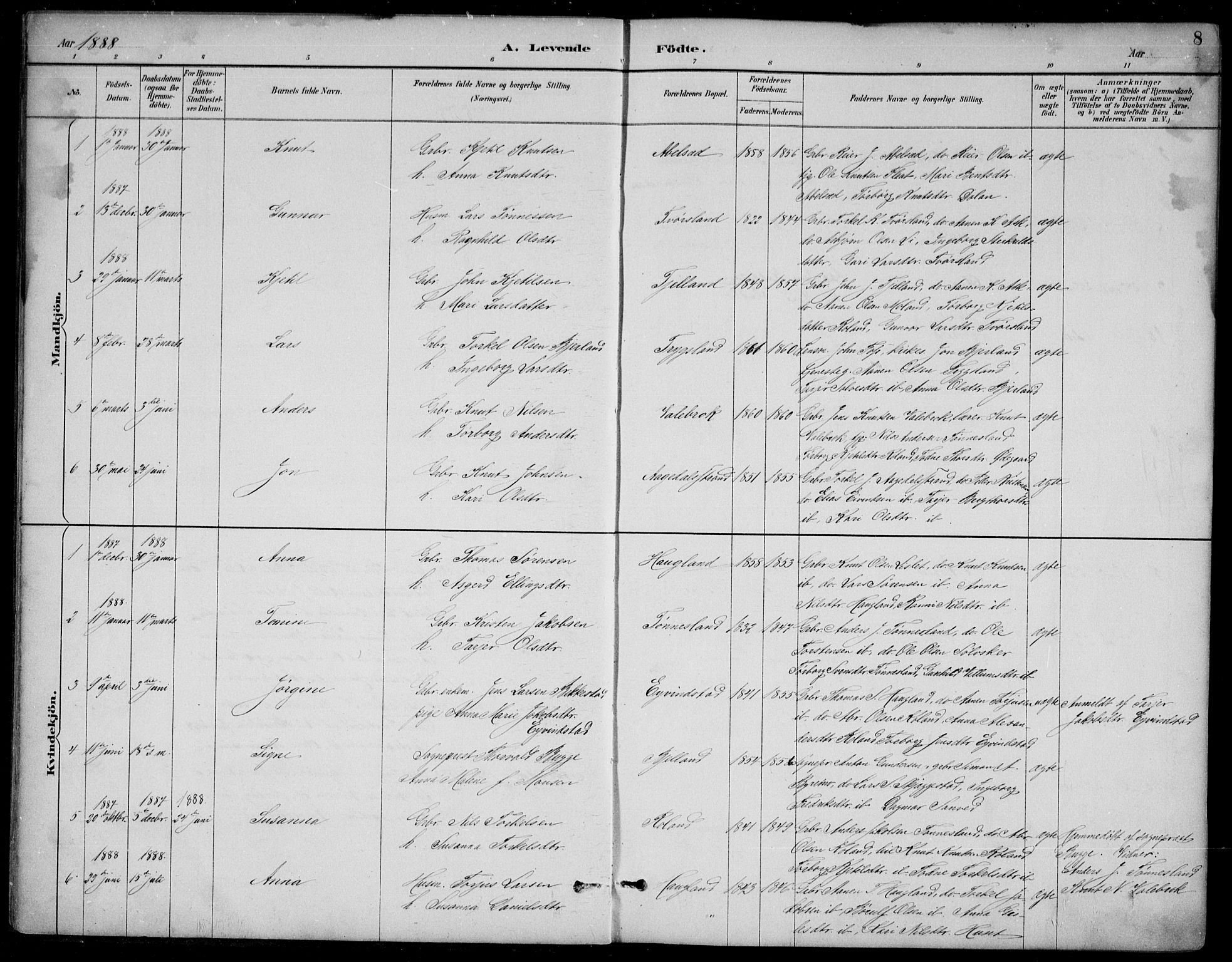 Bjelland sokneprestkontor, SAK/1111-0005/F/Fb/Fba/L0005: Parish register (copy) no. B 5, 1887-1923, p. 8