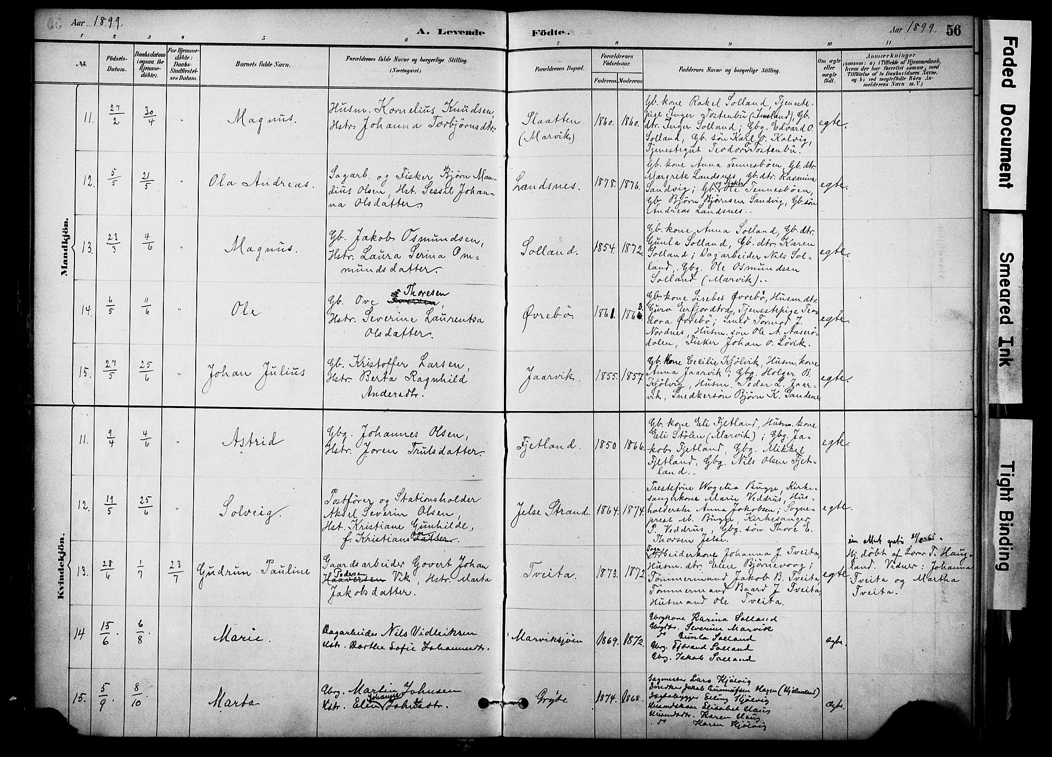 Jelsa sokneprestkontor, AV/SAST-A-101842/01/IV: Parish register (official) no. A 10, 1884-1906, p. 56