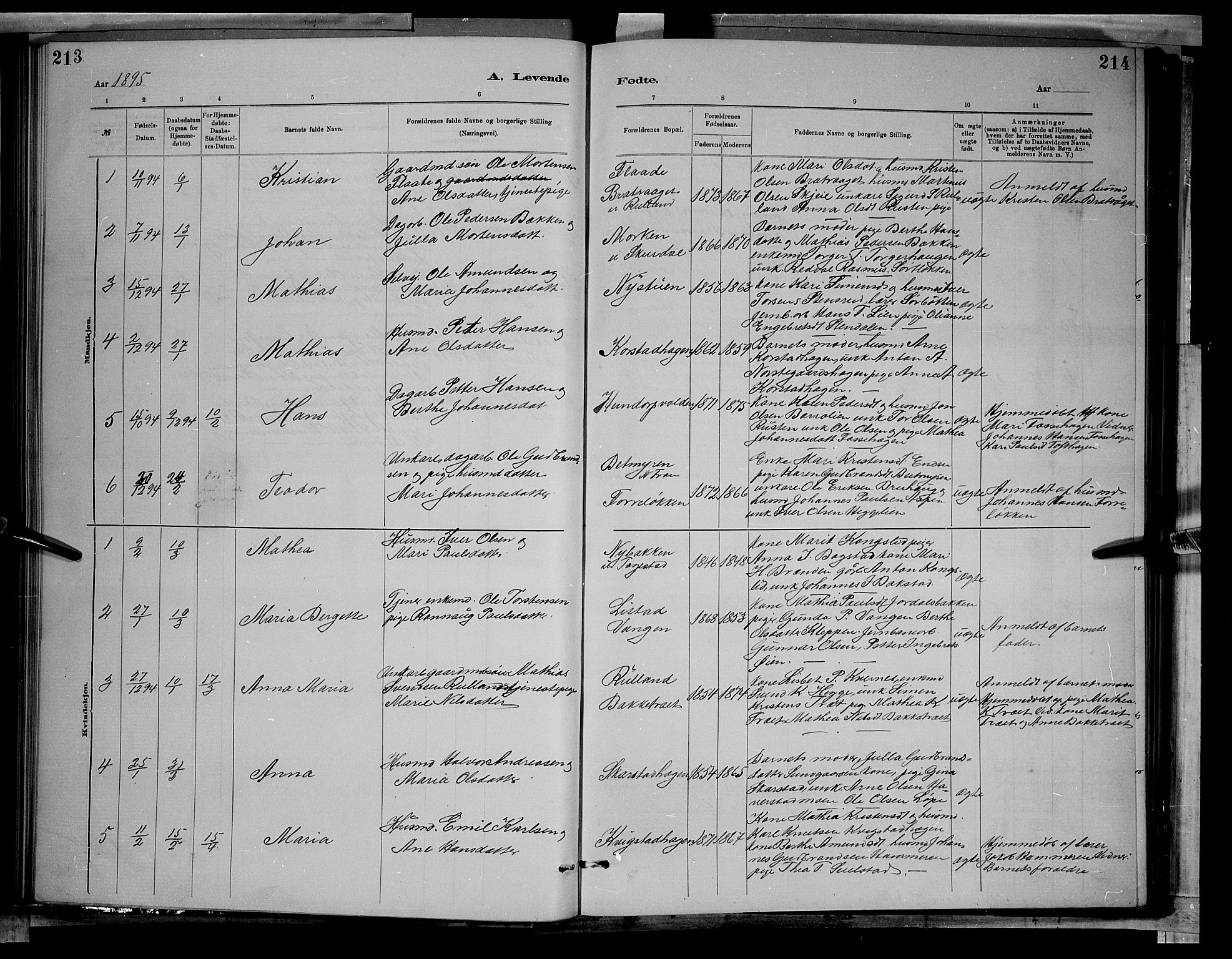 Sør-Fron prestekontor, AV/SAH-PREST-010/H/Ha/Hab/L0003: Parish register (copy) no. 3, 1884-1896, p. 213-214