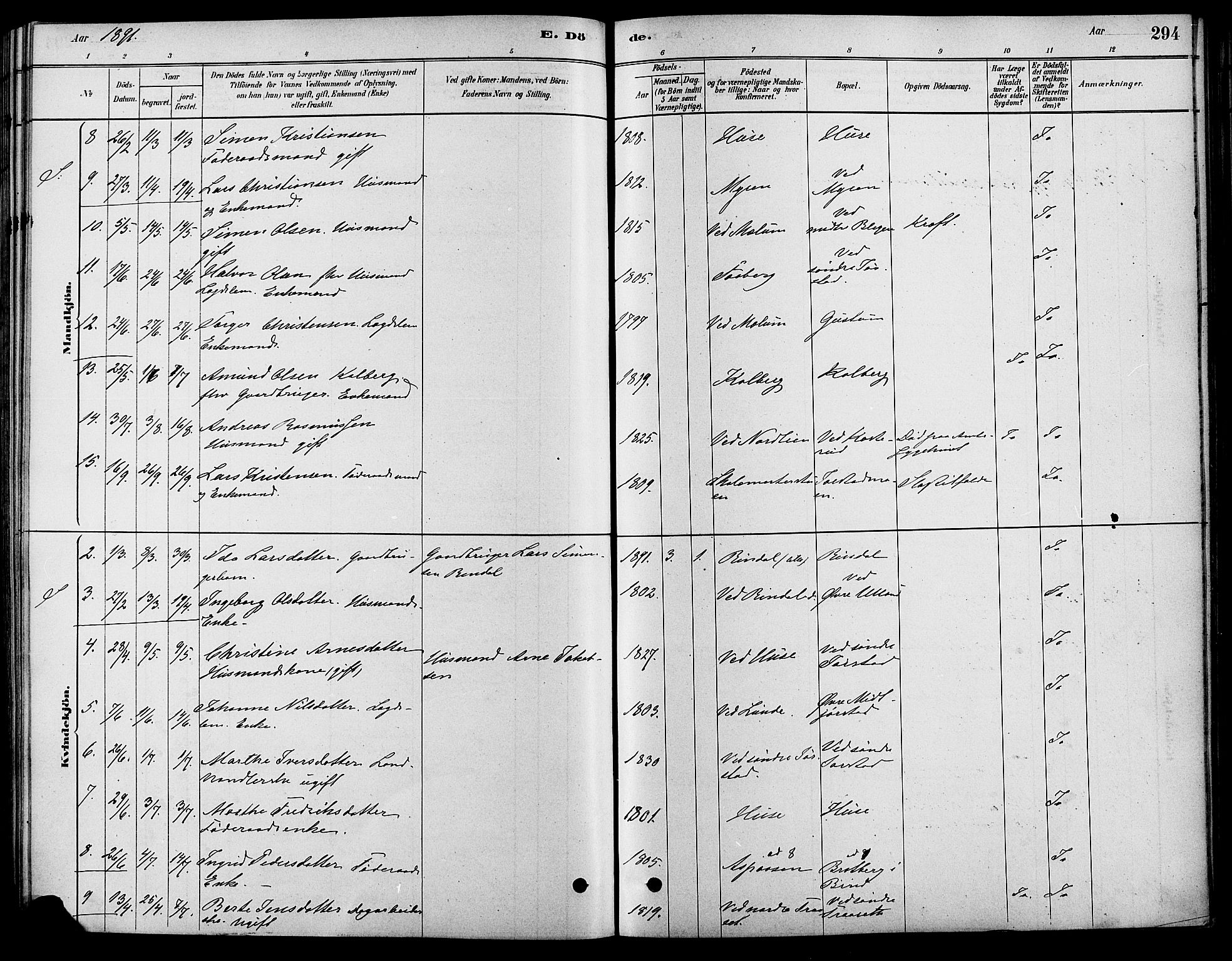 Fåberg prestekontor, AV/SAH-PREST-086/H/Ha/Haa/L0008: Parish register (official) no. 8, 1879-1898, p. 294