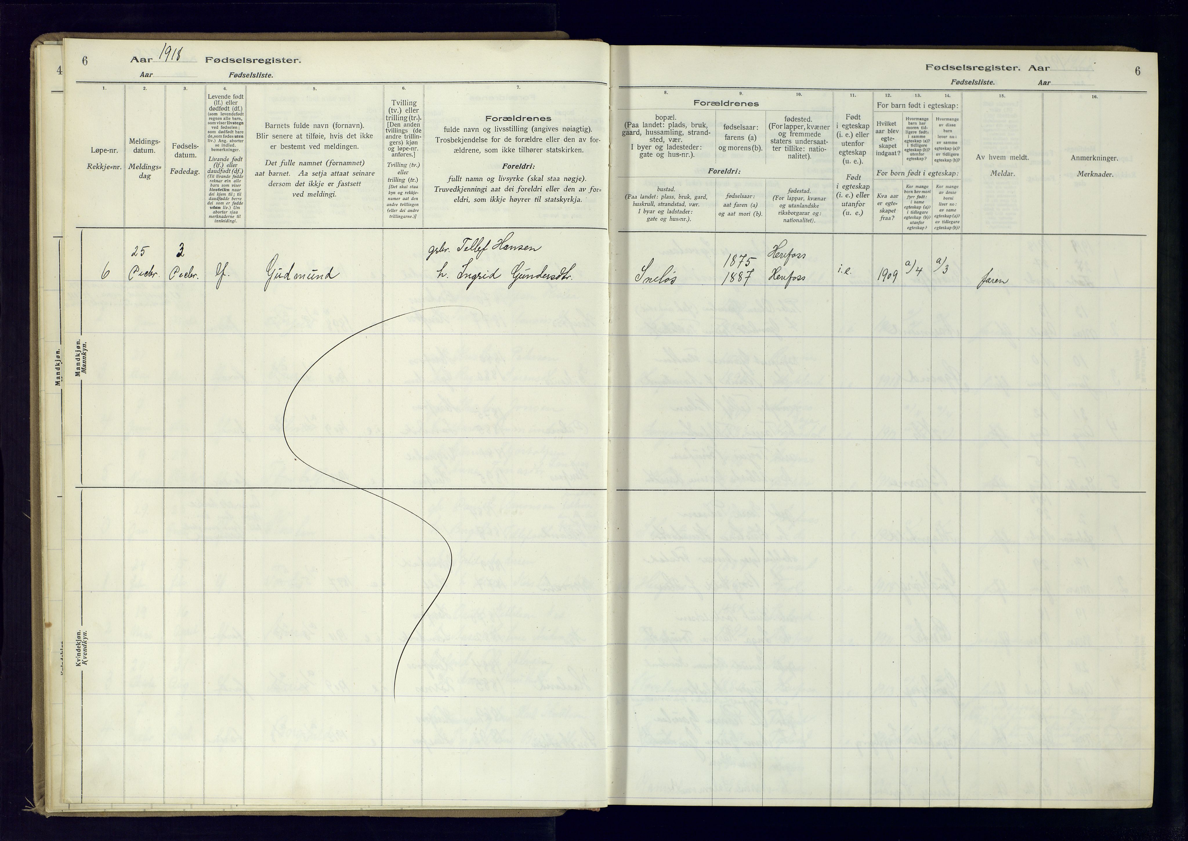 Herefoss sokneprestkontor, AV/SAK-1111-0019/J/Ja/L0001: Birth register no. II.6.10, 1916-1982, p. 6