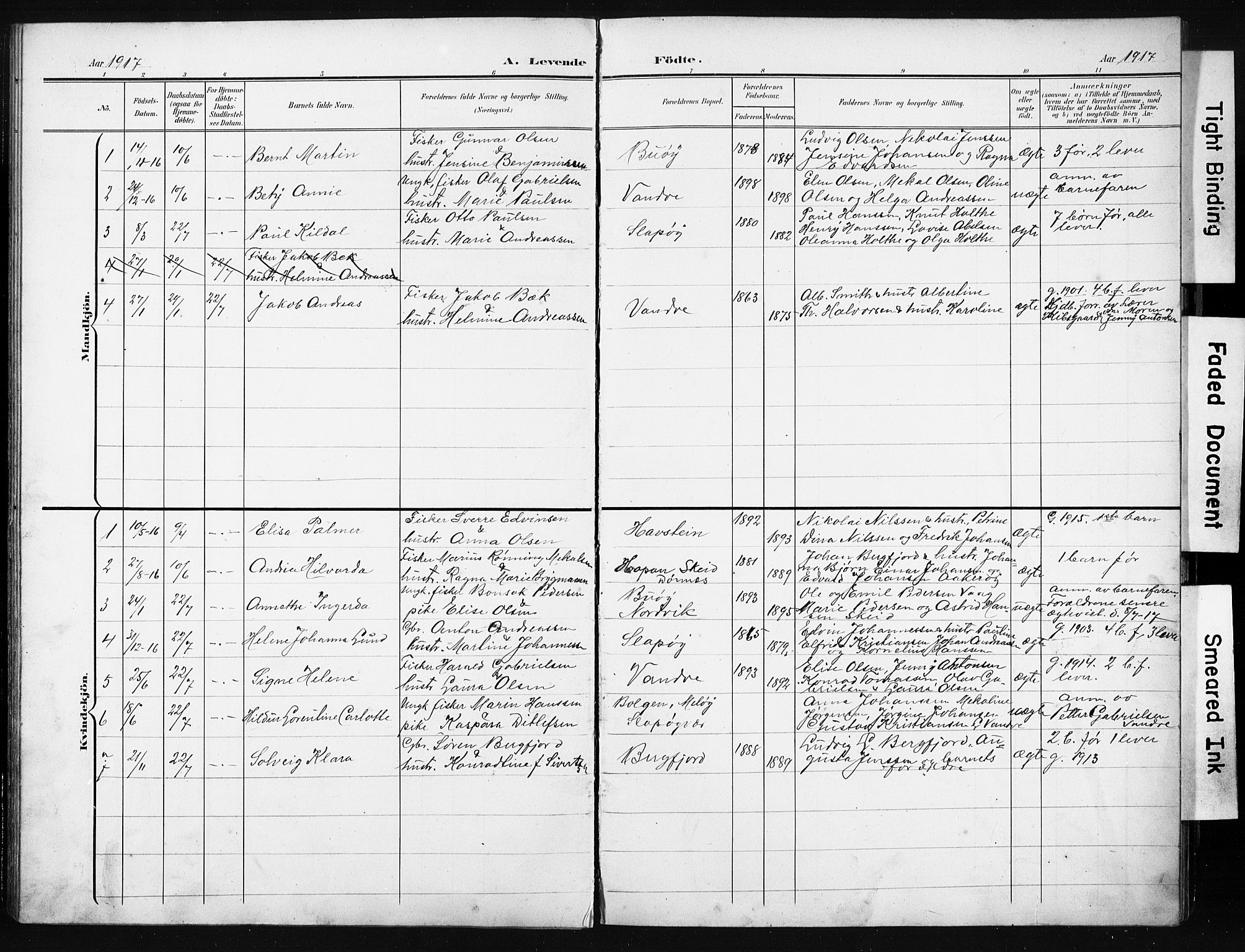 Ministerialprotokoller, klokkerbøker og fødselsregistre - Nordland, AV/SAT-A-1459/836/L0538: Parish register (copy) no. 836C02, 1901-1917