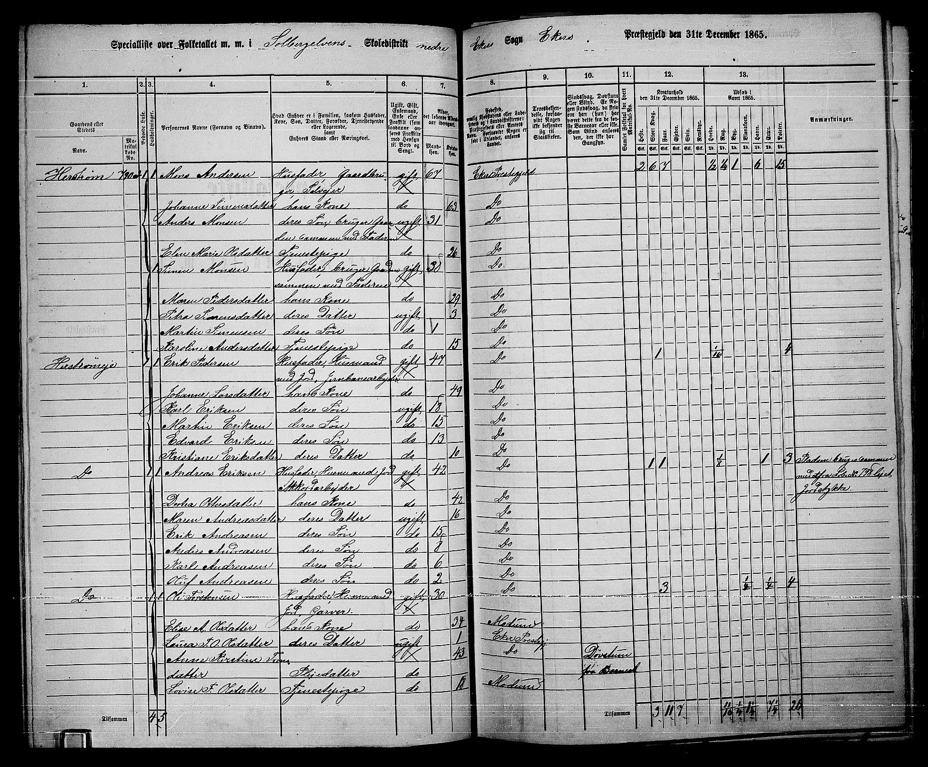 RA, 1865 census for Eiker, 1865, p. 339