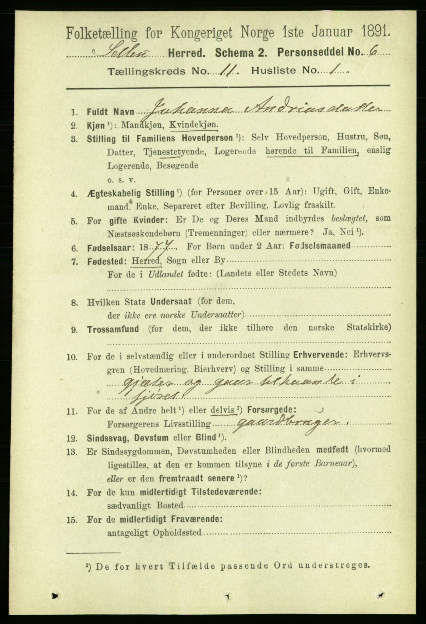 RA, 1891 census for 1664 Selbu, 1891, p. 4002