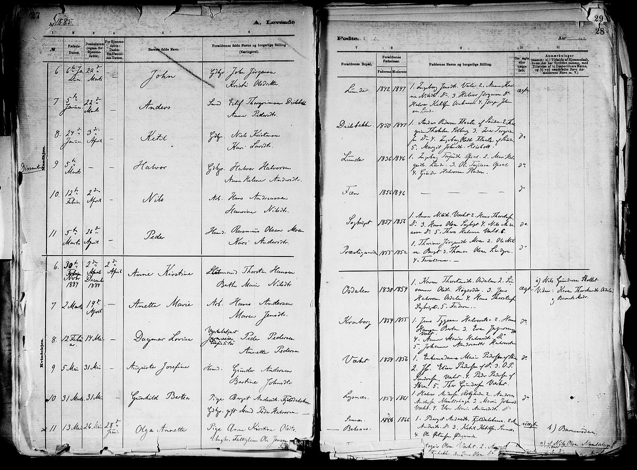 Holla kirkebøker, SAKO/A-272/F/Fa/L0008: Parish register (official) no. 8, 1882-1897, p. 28