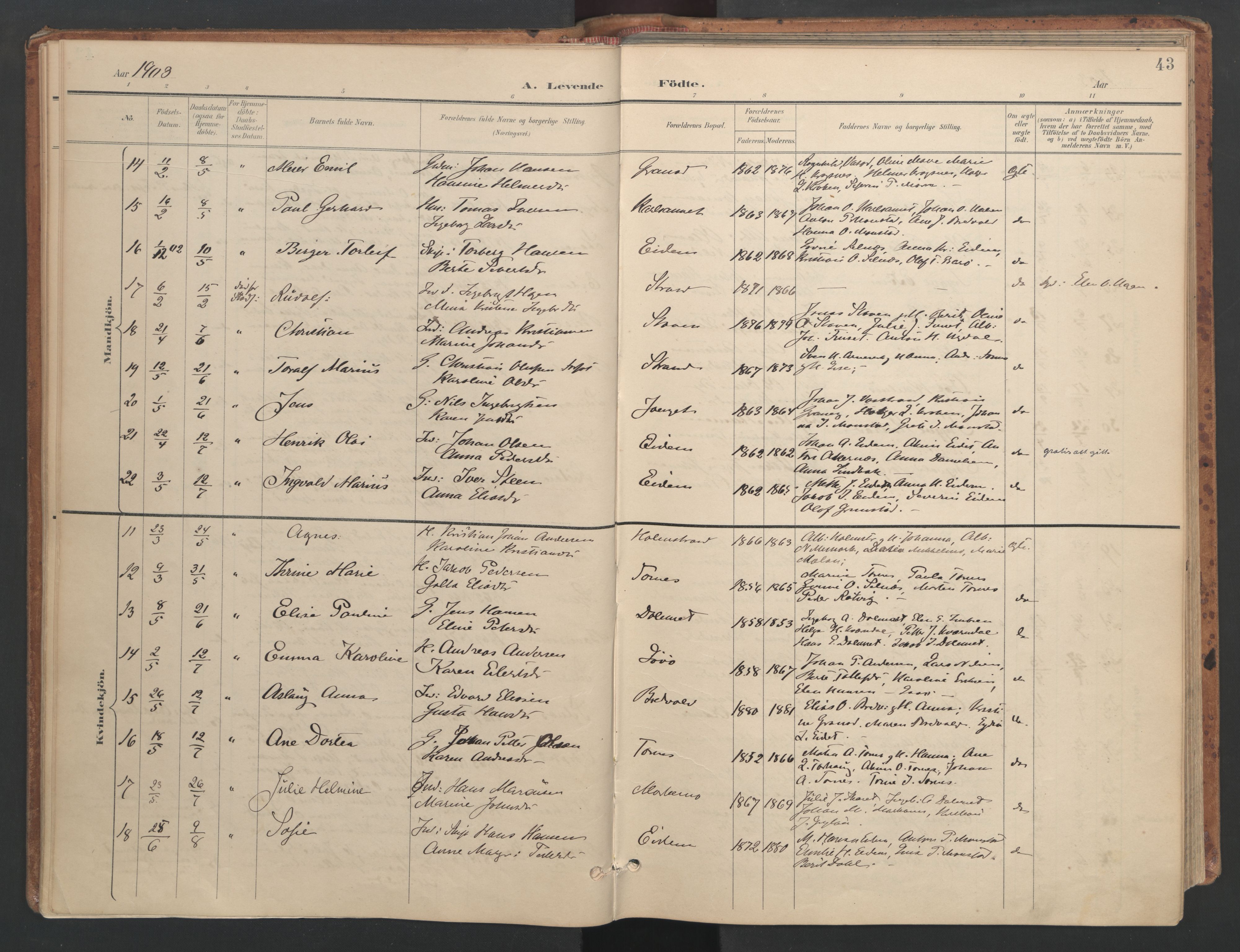 Ministerialprotokoller, klokkerbøker og fødselsregistre - Sør-Trøndelag, SAT/A-1456/655/L0681: Parish register (official) no. 655A10, 1895-1907, p. 43