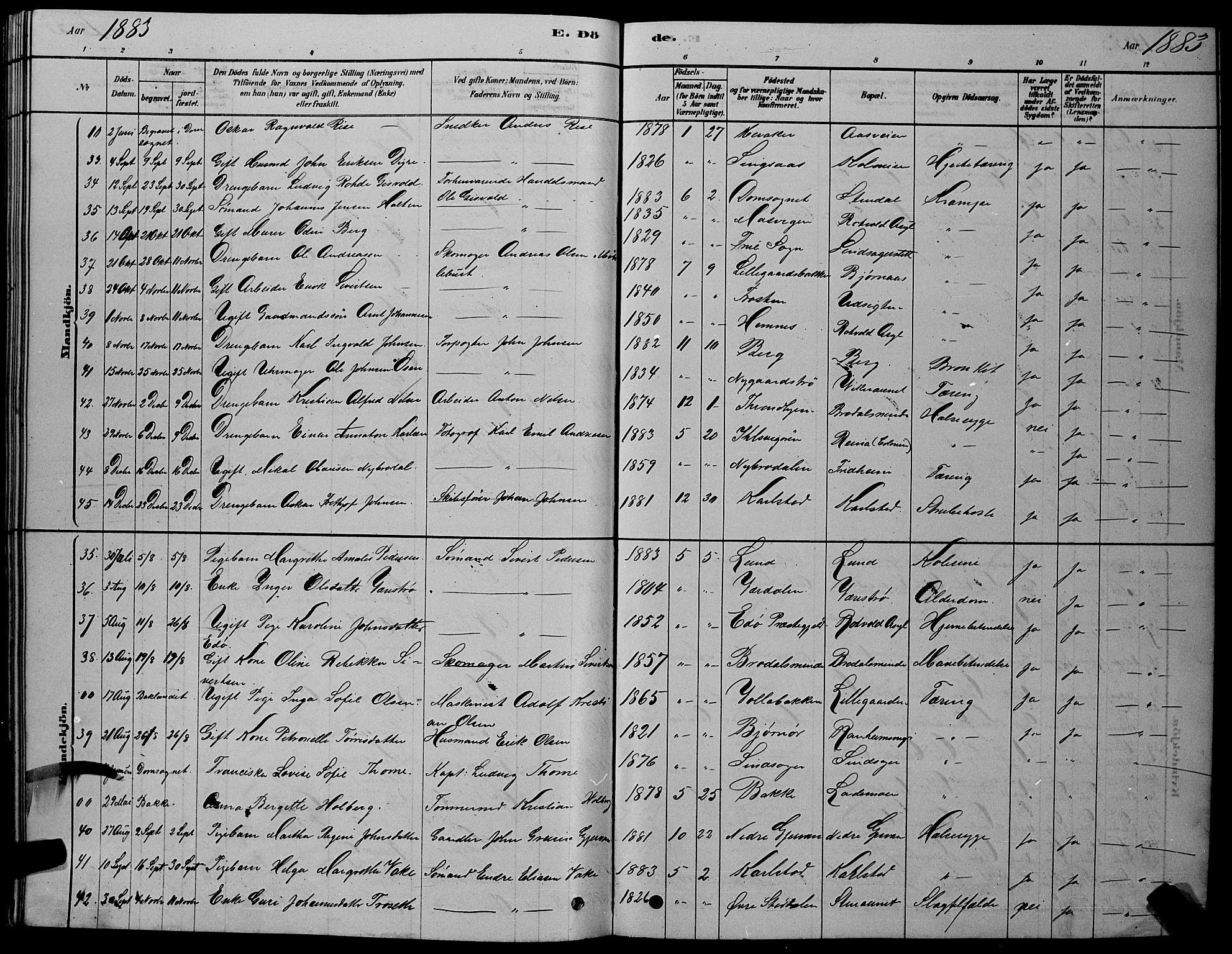 Ministerialprotokoller, klokkerbøker og fødselsregistre - Sør-Trøndelag, AV/SAT-A-1456/606/L0312: Parish register (copy) no. 606C08, 1878-1894