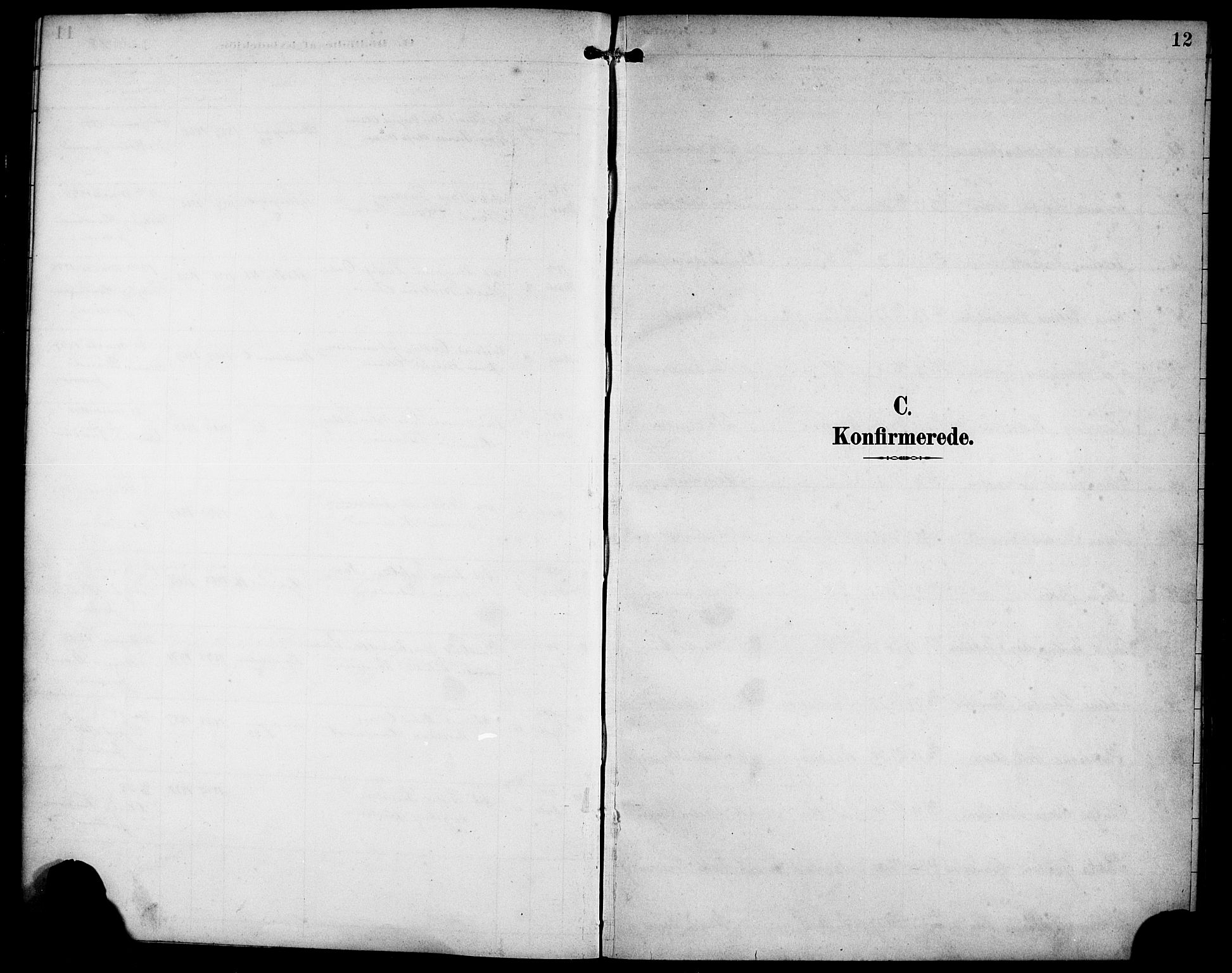 Sandviken Sokneprestembete, AV/SAB-A-77601/H/Hb/L0003: Parish register (copy) no. A 4, 1892-1901, p. 12