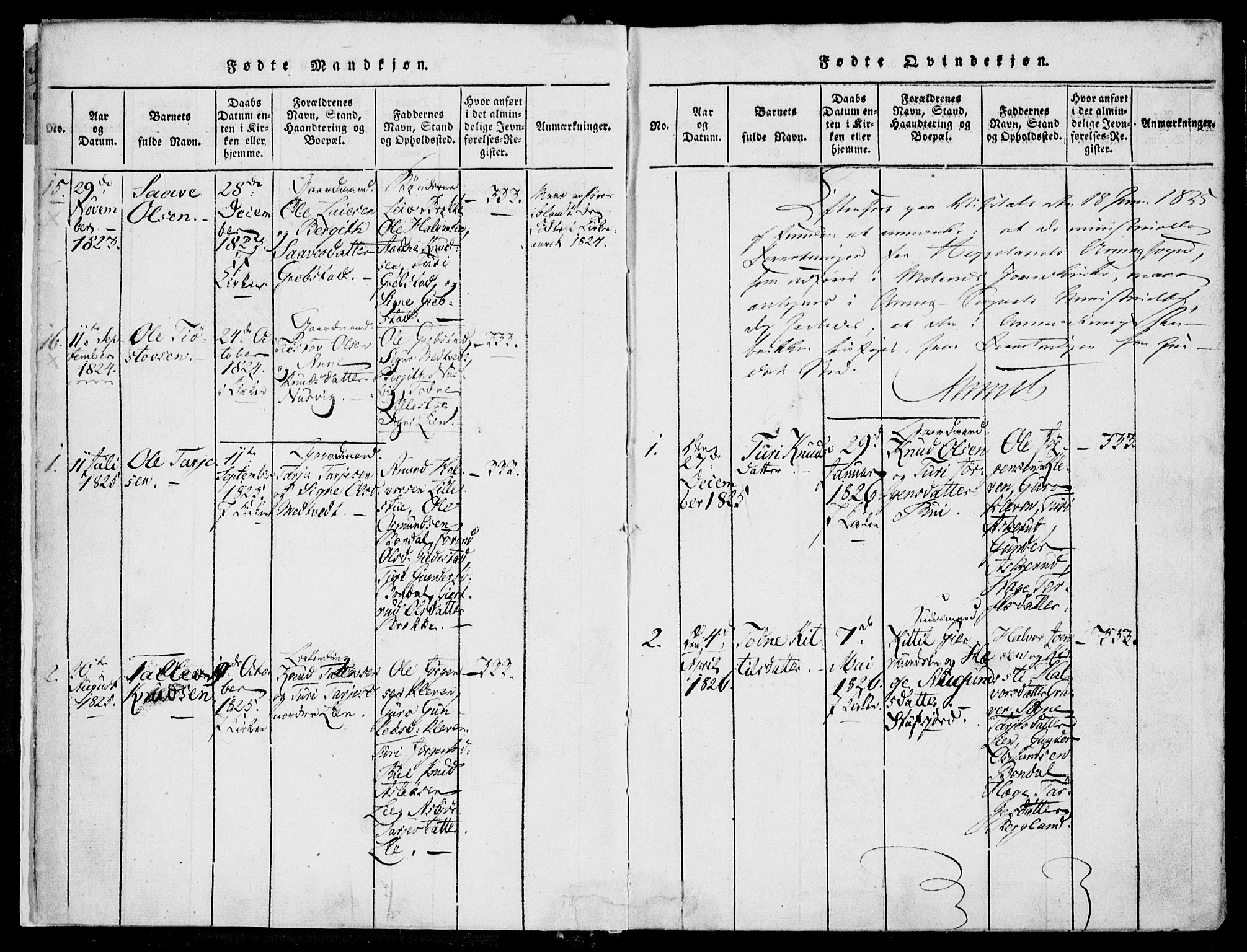 Fyresdal kirkebøker, SAKO/A-263/F/Fa/L0004: Parish register (official) no. I 4, 1815-1854, p. 5