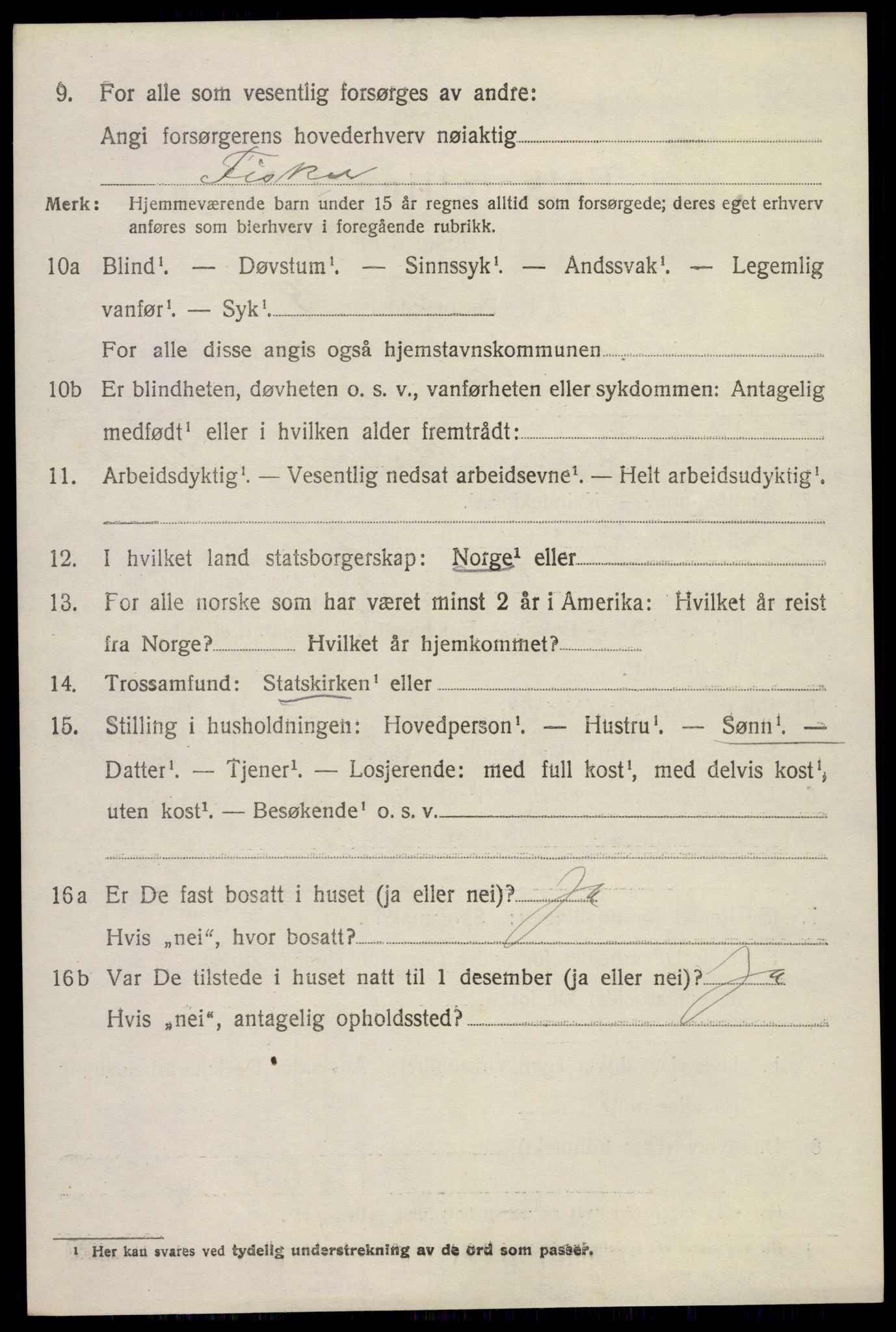 SAKO, 1920 census for Skåtøy, 1920, p. 9041