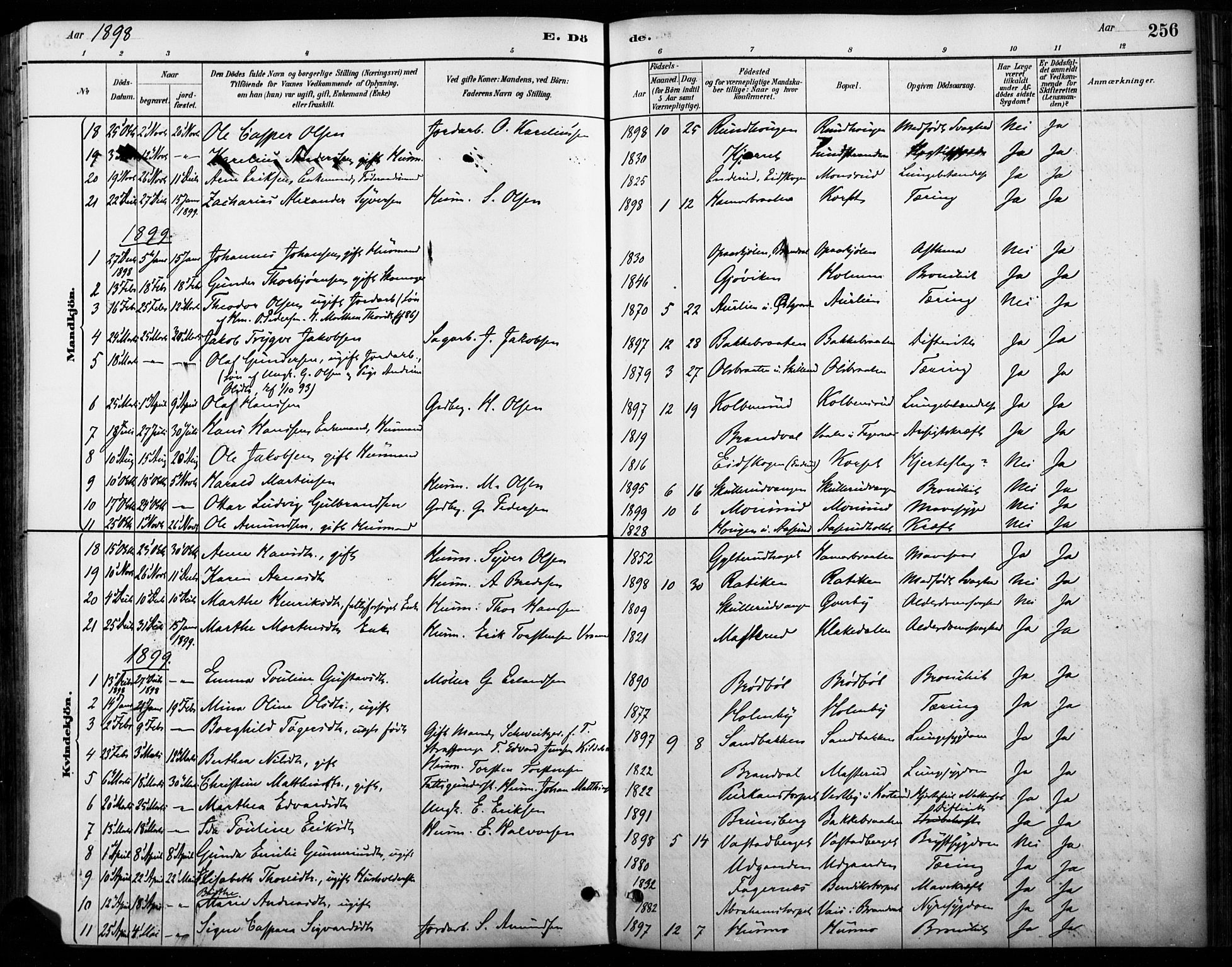 Vinger prestekontor, AV/SAH-PREST-024/H/Ha/Haa/L0015: Parish register (official) no. 15, 1881-1900, p. 256