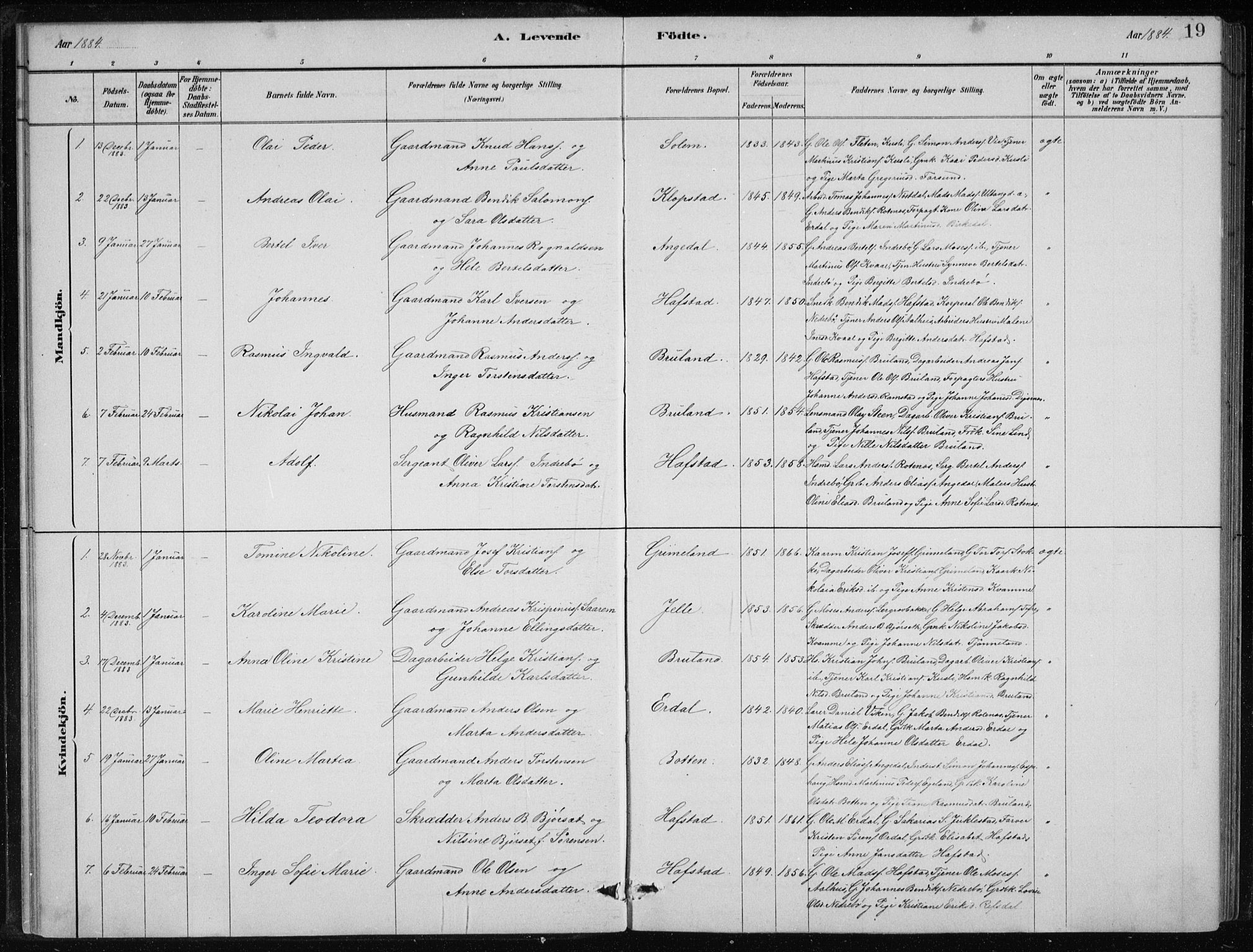 Førde sokneprestembete, SAB/A-79901/H/Hab/Haba/L0002: Parish register (copy) no. A 2, 1881-1898, p. 19