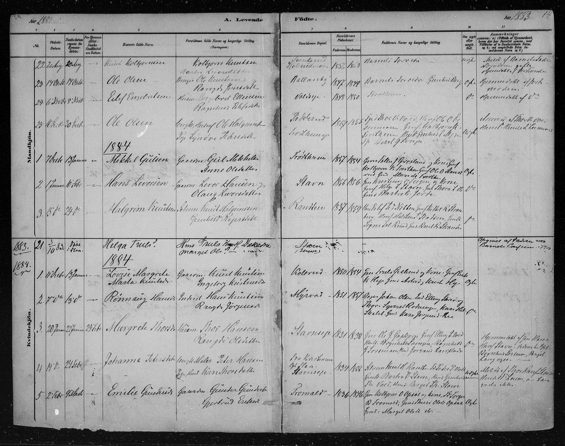 Nes kirkebøker, SAKO/A-236/F/Fa/L0012: Parish register (official) no. 12, 1881-1917, p. 14
