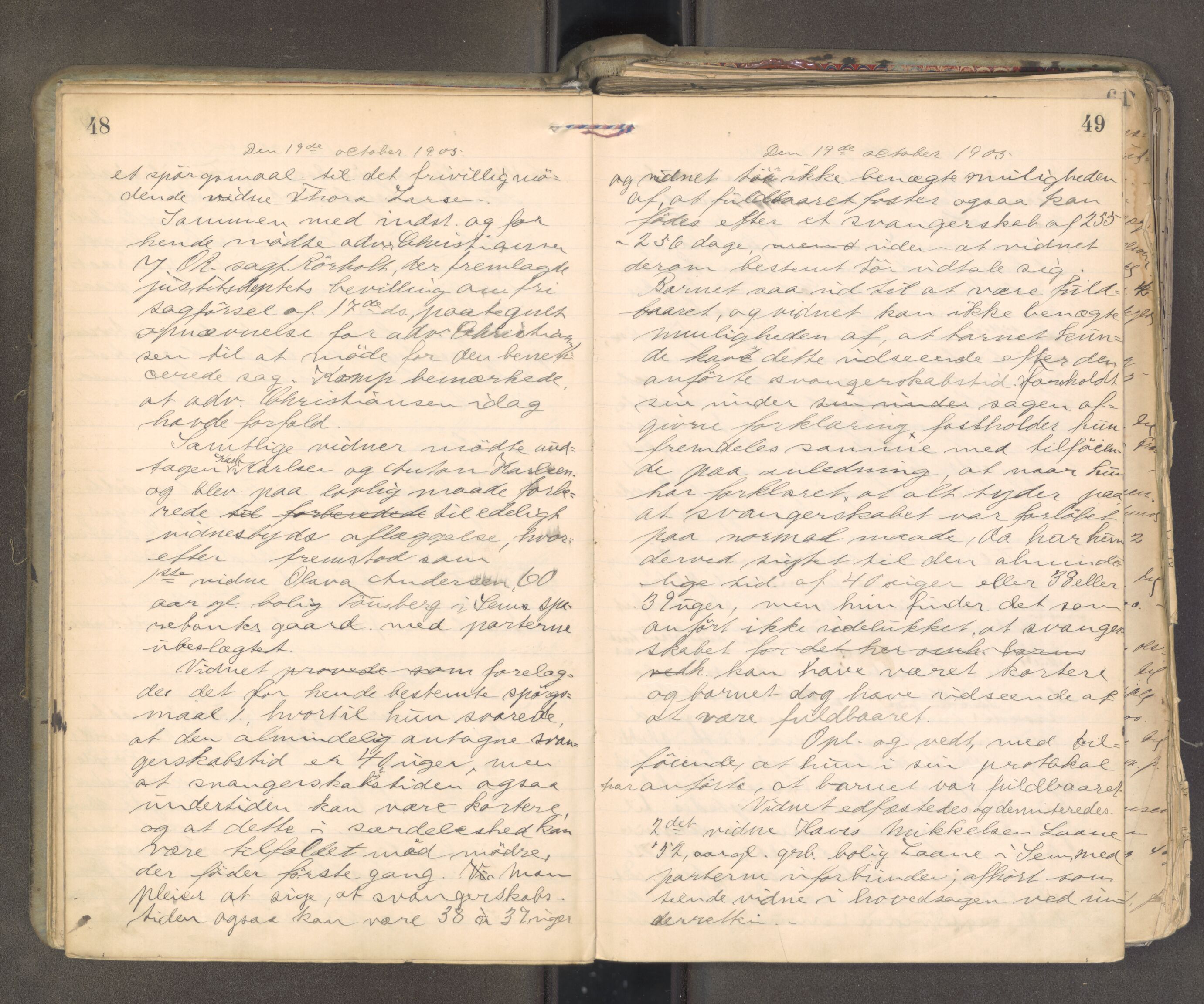 Søndre Jarlsberg sorenskriveri, AV/SAKO-A-129/F/Fa/L0045: Tingbok, 1905-1907, p. 48-49