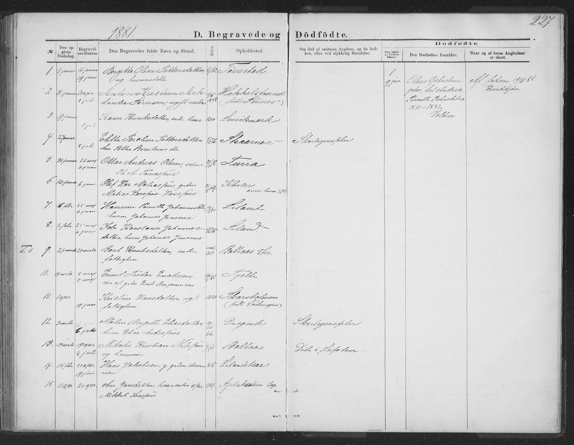 Ministerialprotokoller, klokkerbøker og fødselsregistre - Nordland, SAT/A-1459/863/L0913: Parish register (copy) no. 863C03, 1877-1885, p. 227