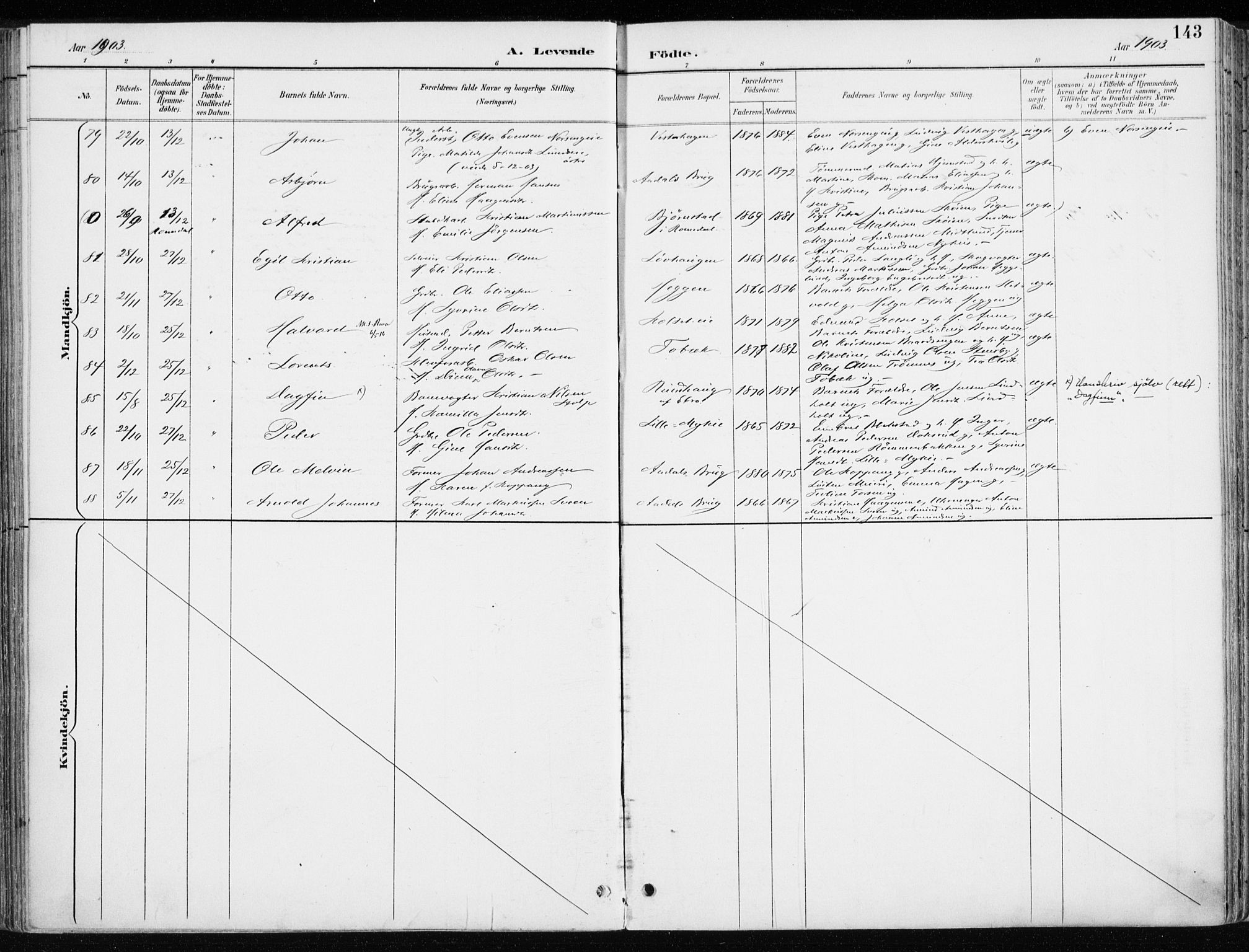 Løten prestekontor, AV/SAH-PREST-022/K/Ka/L0010: Parish register (official) no. 10, 1892-1907, p. 143