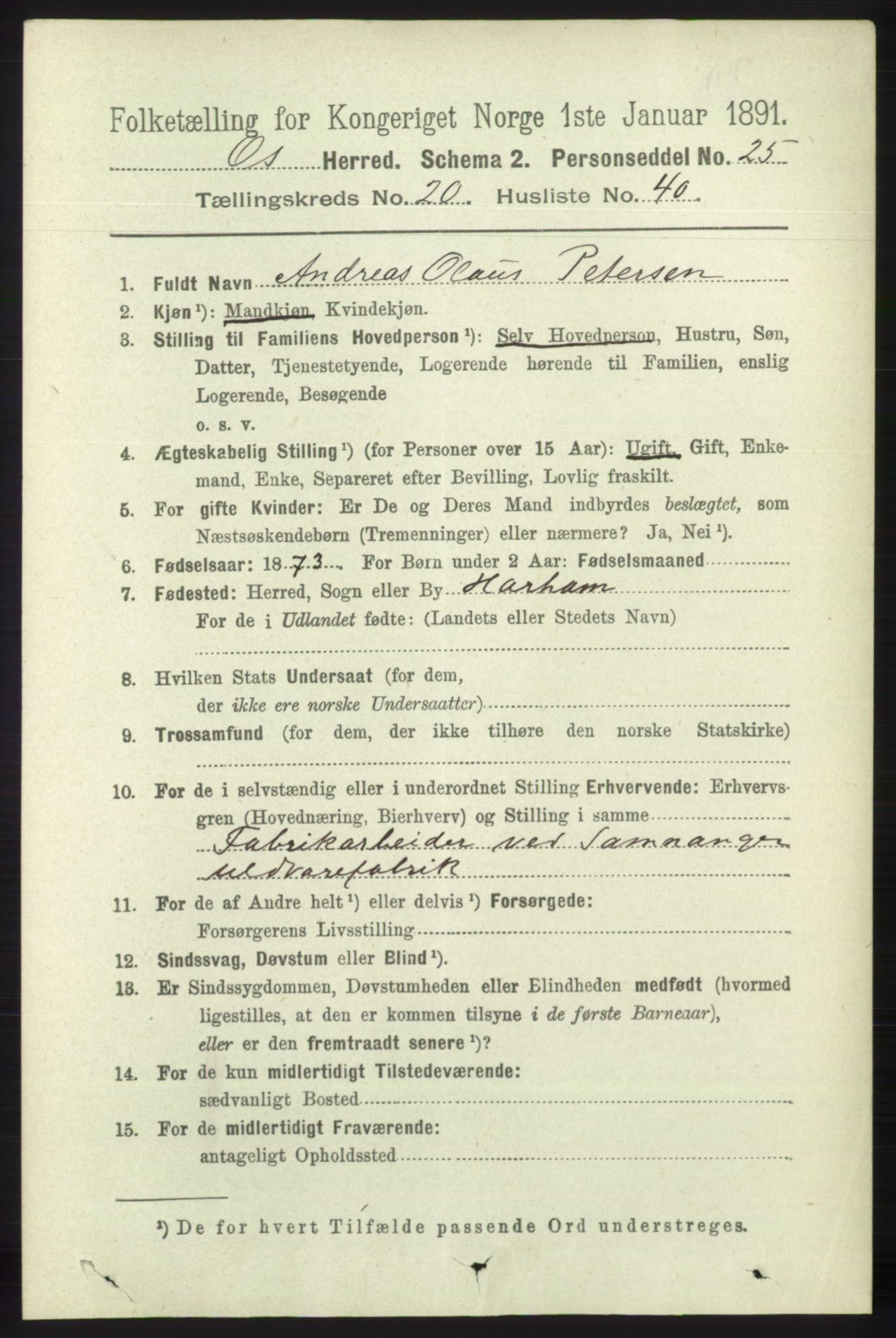 RA, 1891 census for 1243 Os, 1891, p. 4812