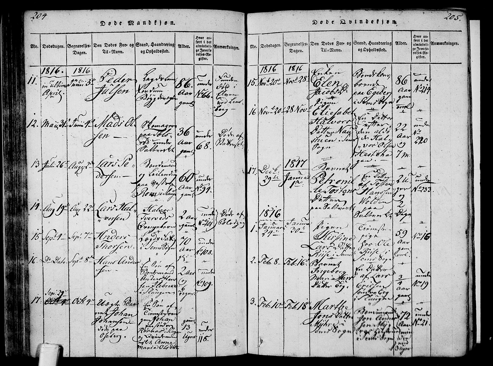 Sem kirkebøker, SAKO/A-5/F/Fa/L0004: Parish register (official) no. I 4, 1814-1825, p. 204-205