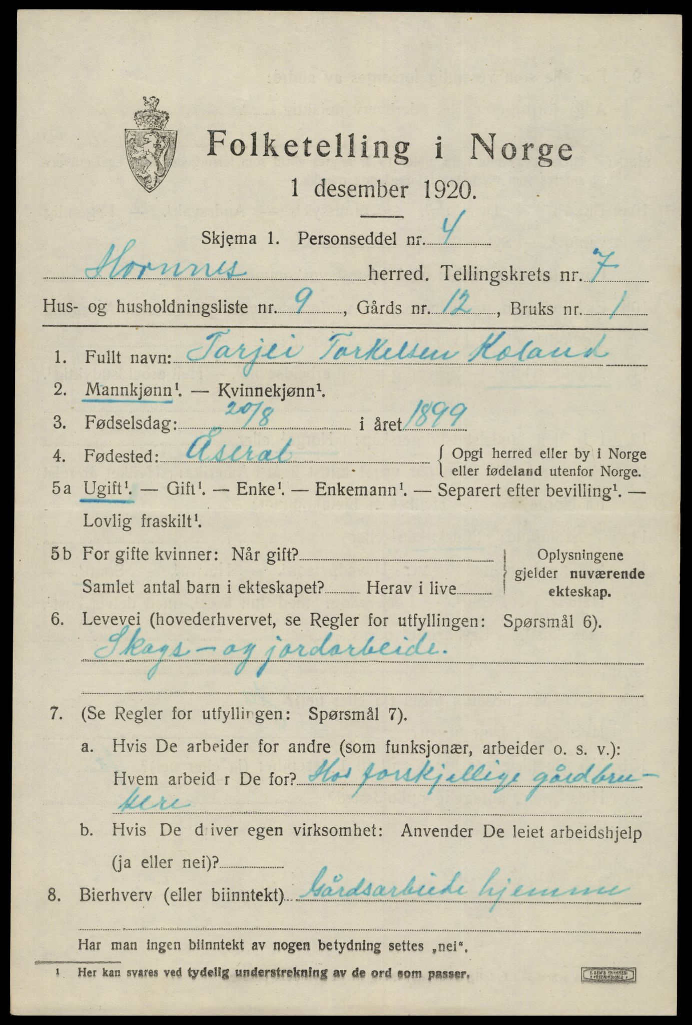 SAK, 1920 census for Hornnes, 1920, p. 1753