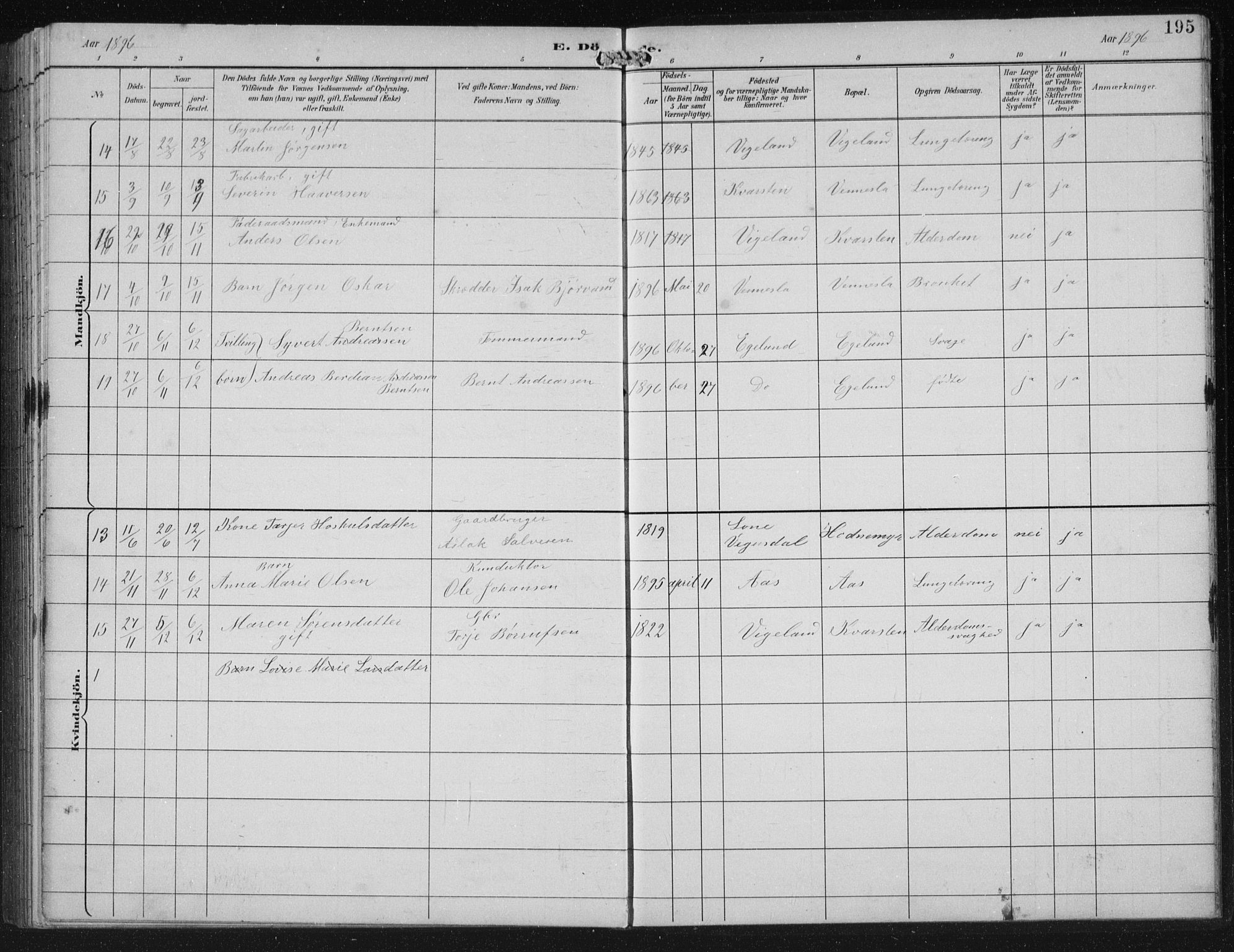 Vennesla sokneprestkontor, AV/SAK-1111-0045/Fb/Fbb/L0004: Parish register (copy) no. B 4, 1893-1902, p. 195