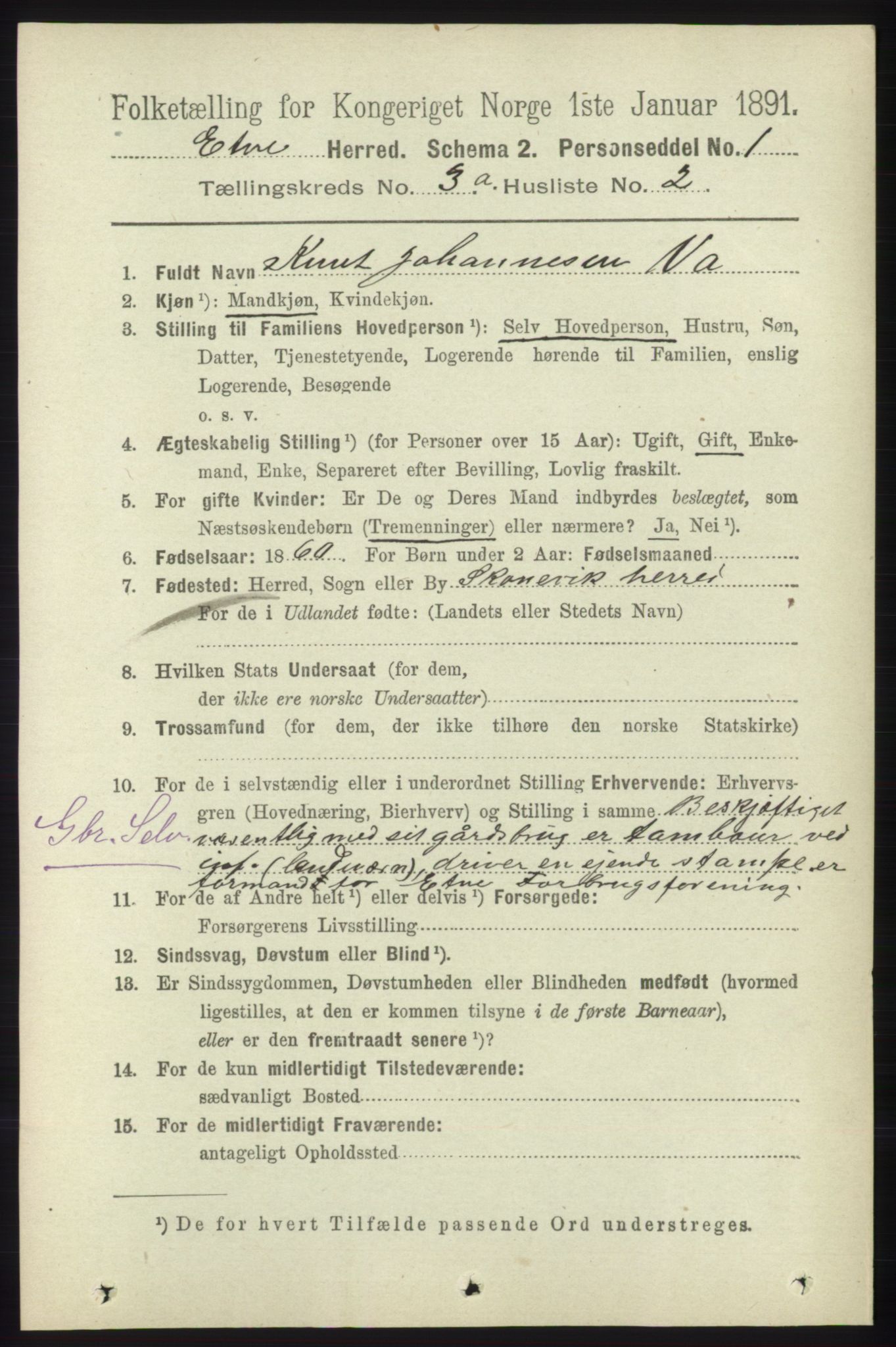 RA, 1891 census for 1211 Etne, 1891, p. 695