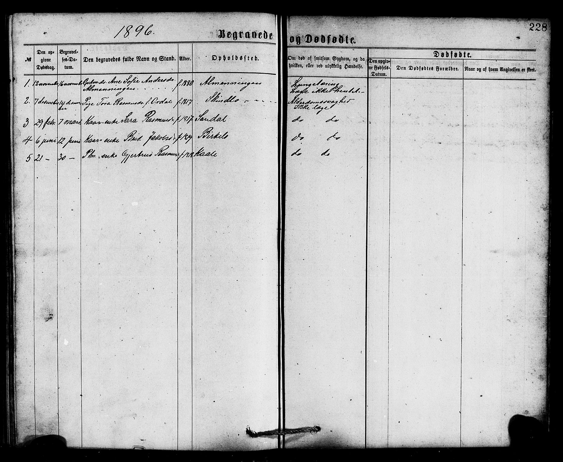 Gloppen sokneprestembete, SAB/A-80101/H/Hab/Habc/L0001: Parish register (copy) no. C 1, 1872-1896, p. 228