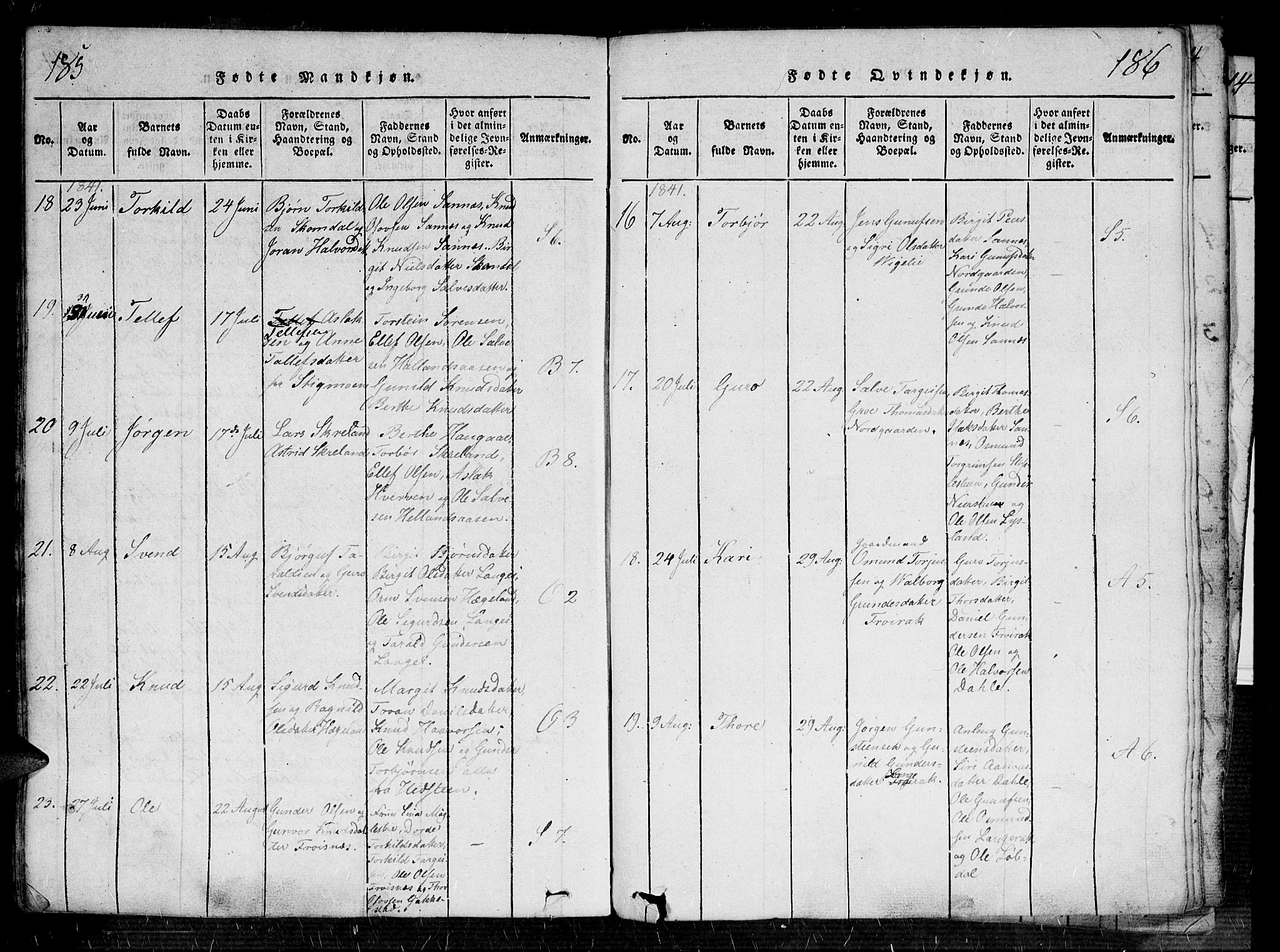 Bygland sokneprestkontor, AV/SAK-1111-0006/F/Fa/Fab/L0003: Parish register (official) no. A 3, 1816-1841, p. 185-186